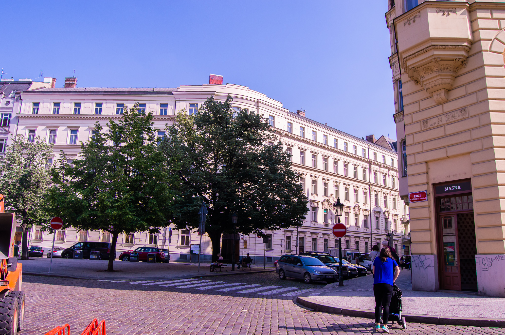 DSC_0096.jpg