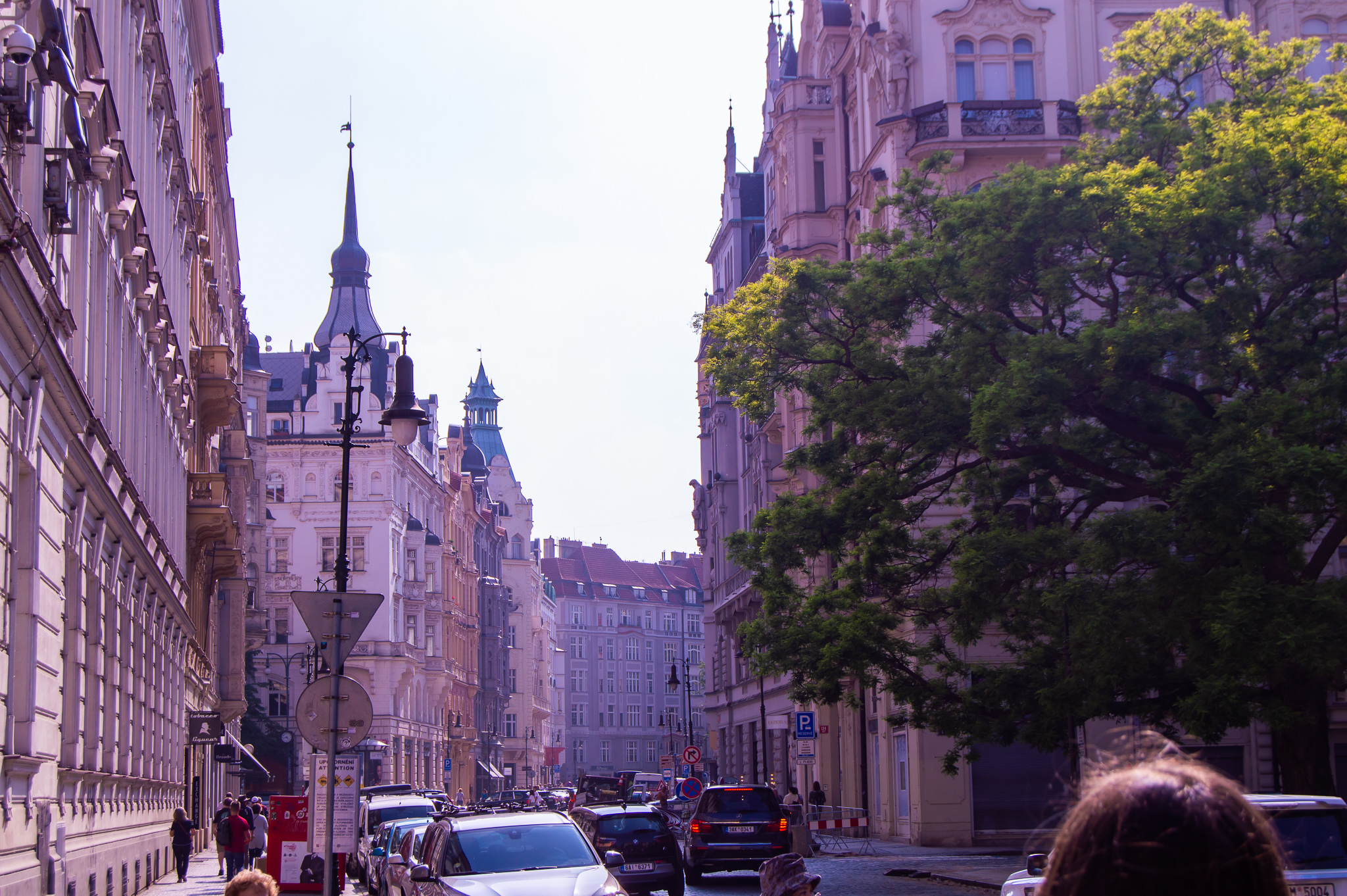 DSC_0102.jpg