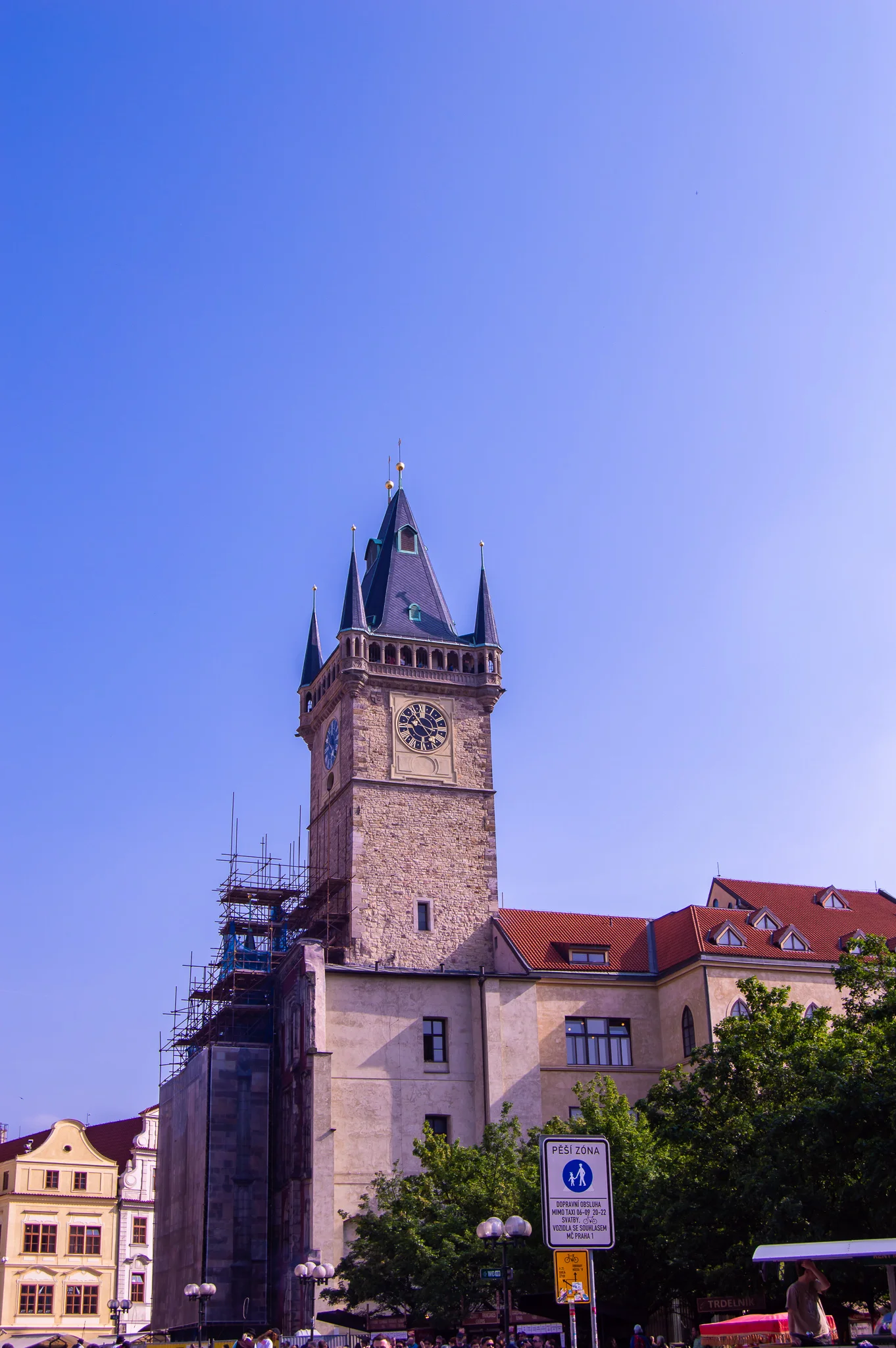 DSC_0106.jpg