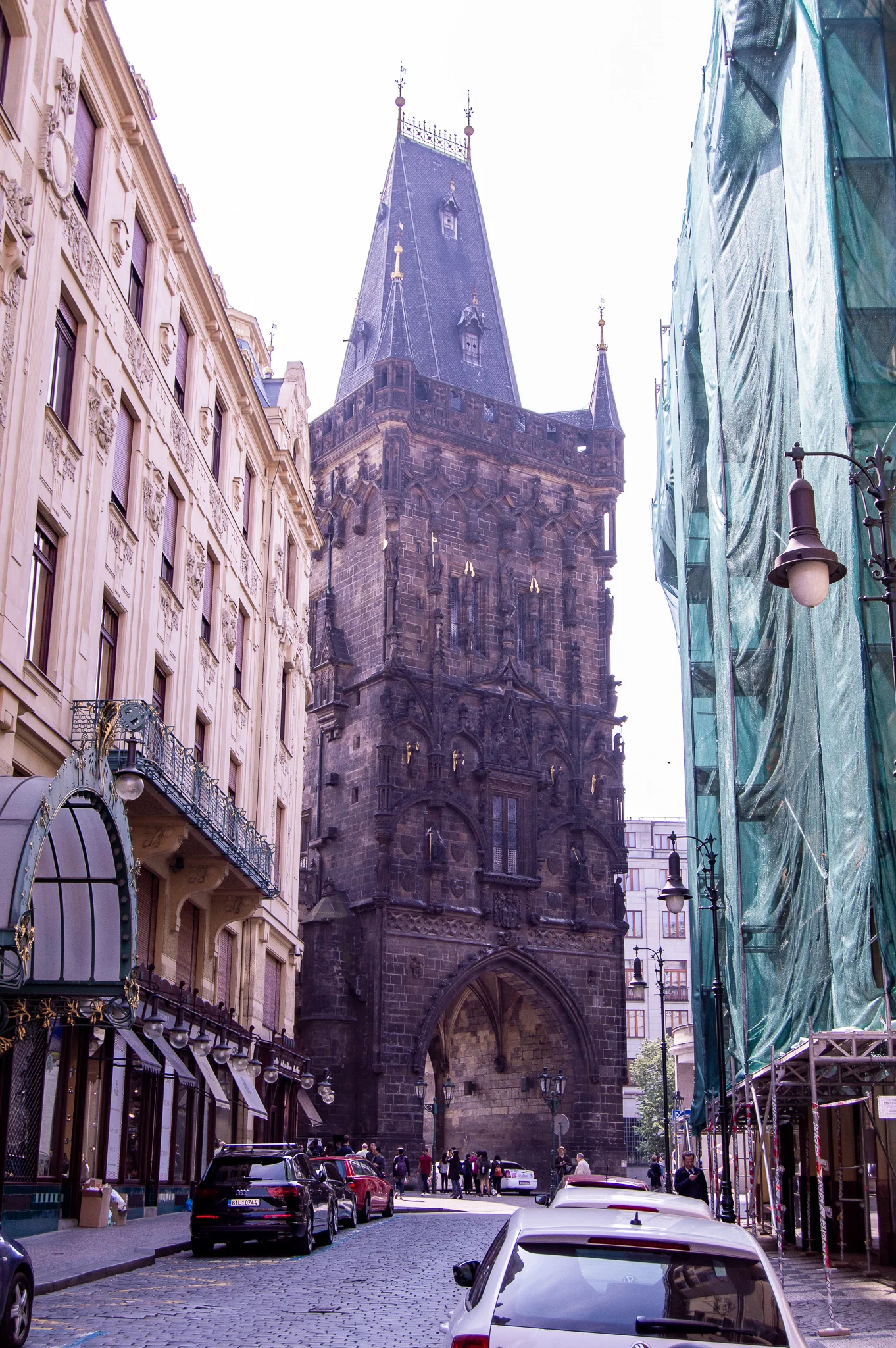 DSC_0142.jpg