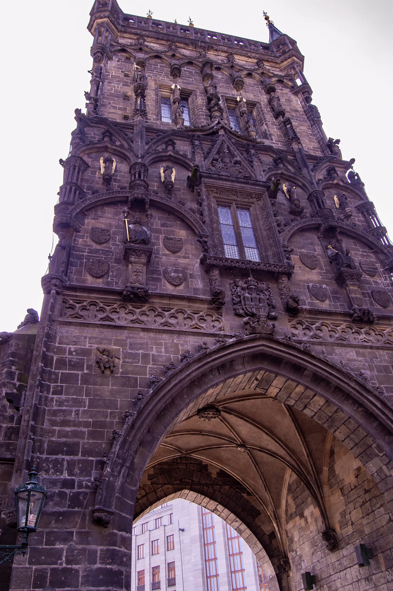 DSC_0145.jpg