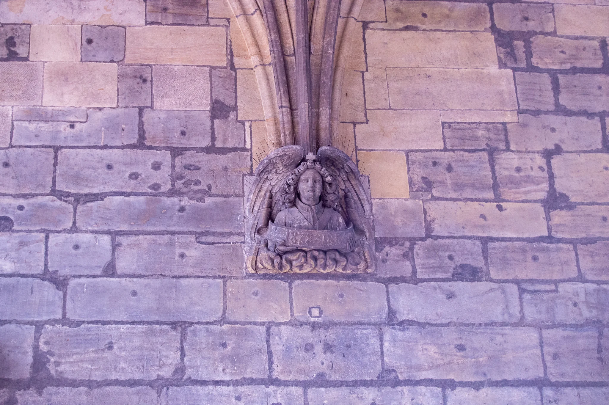 DSC_0151.jpg