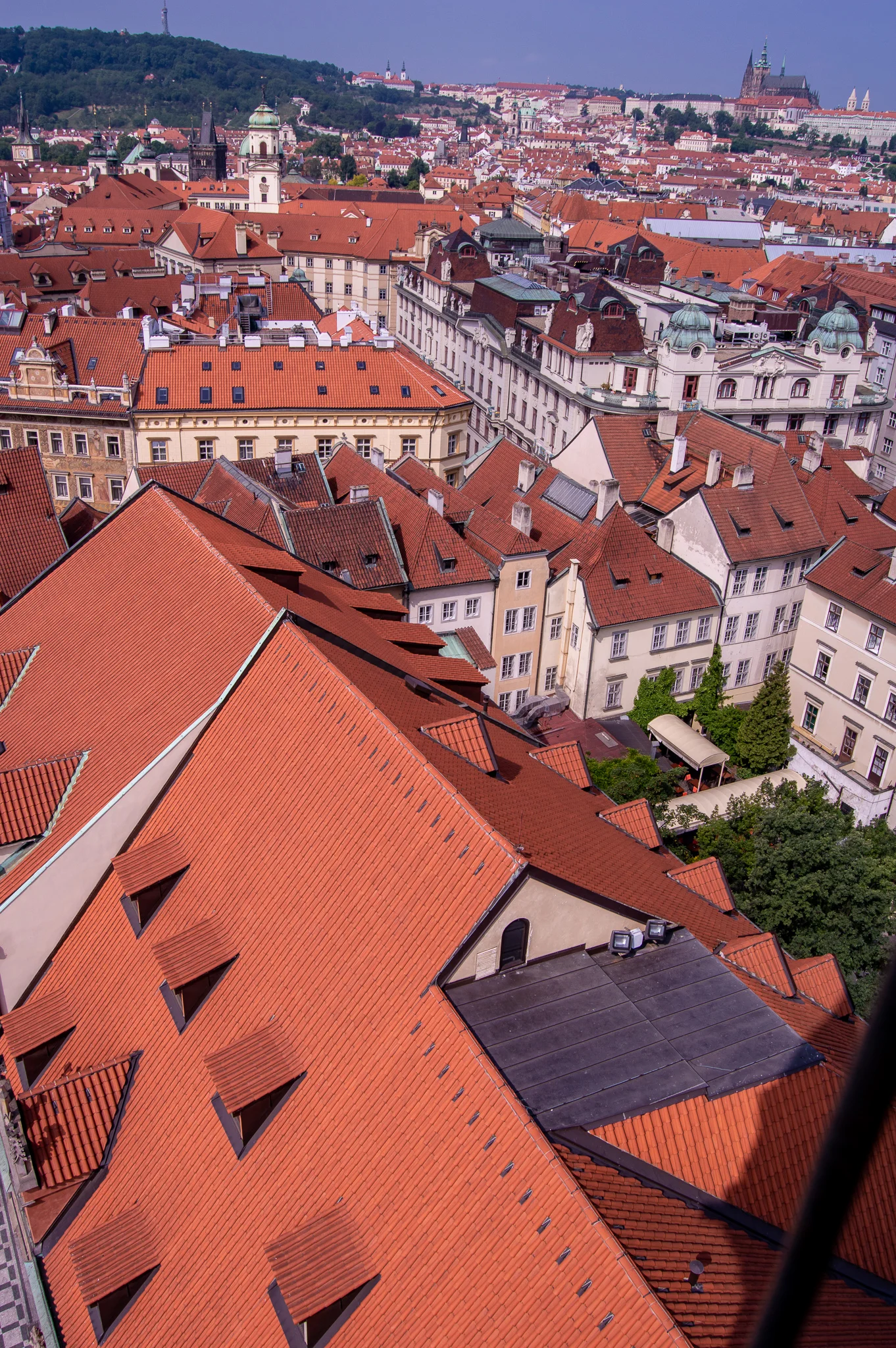 DSC_0172.jpg
