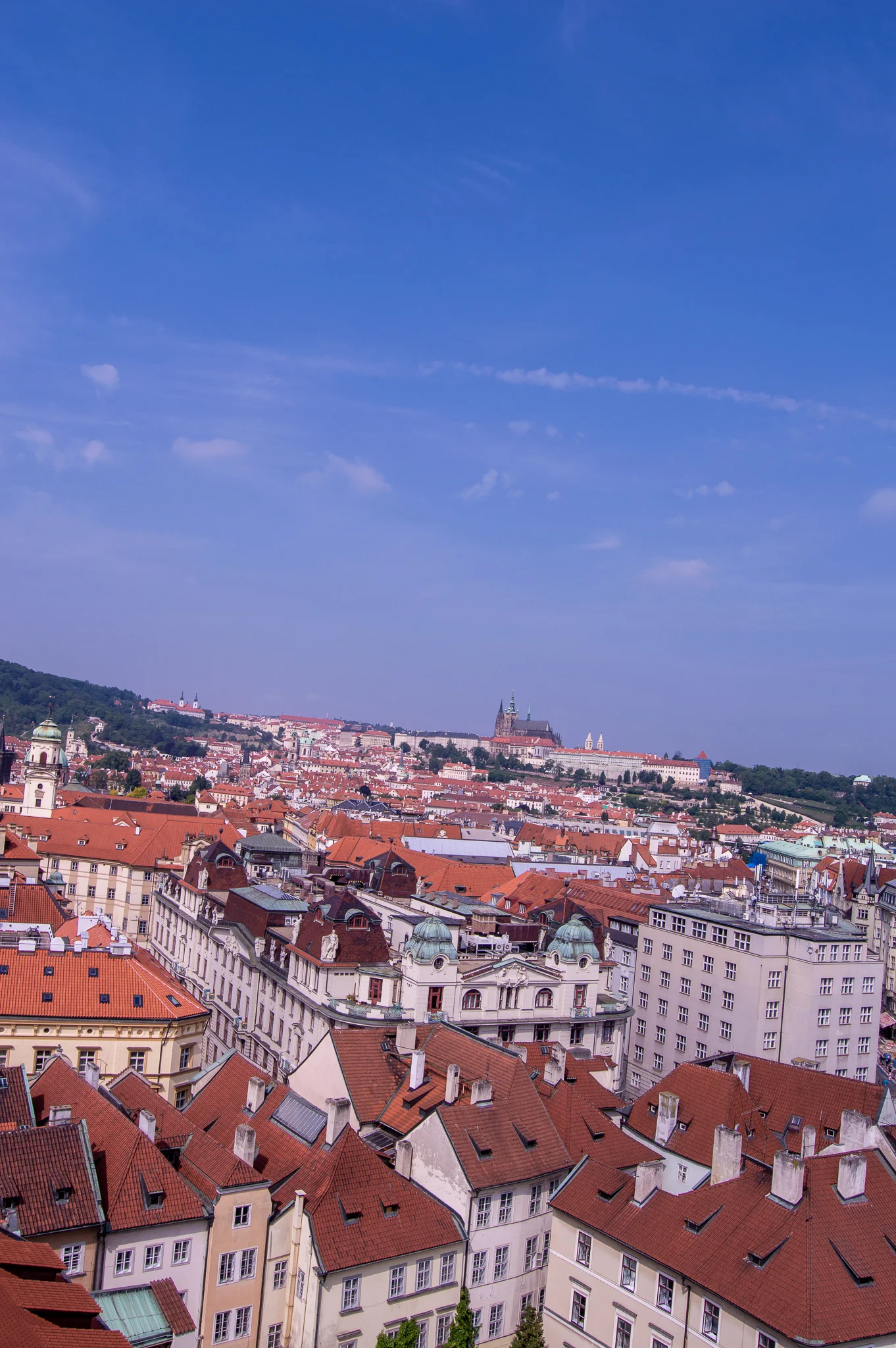 DSC_0174.jpg