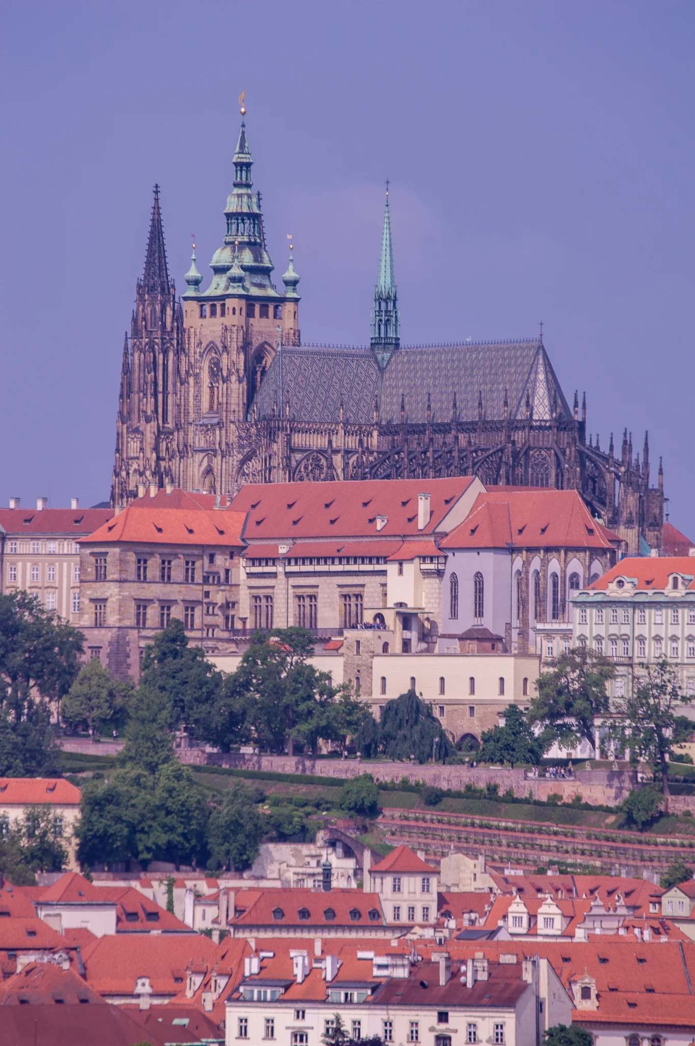 DSC_0185.jpg