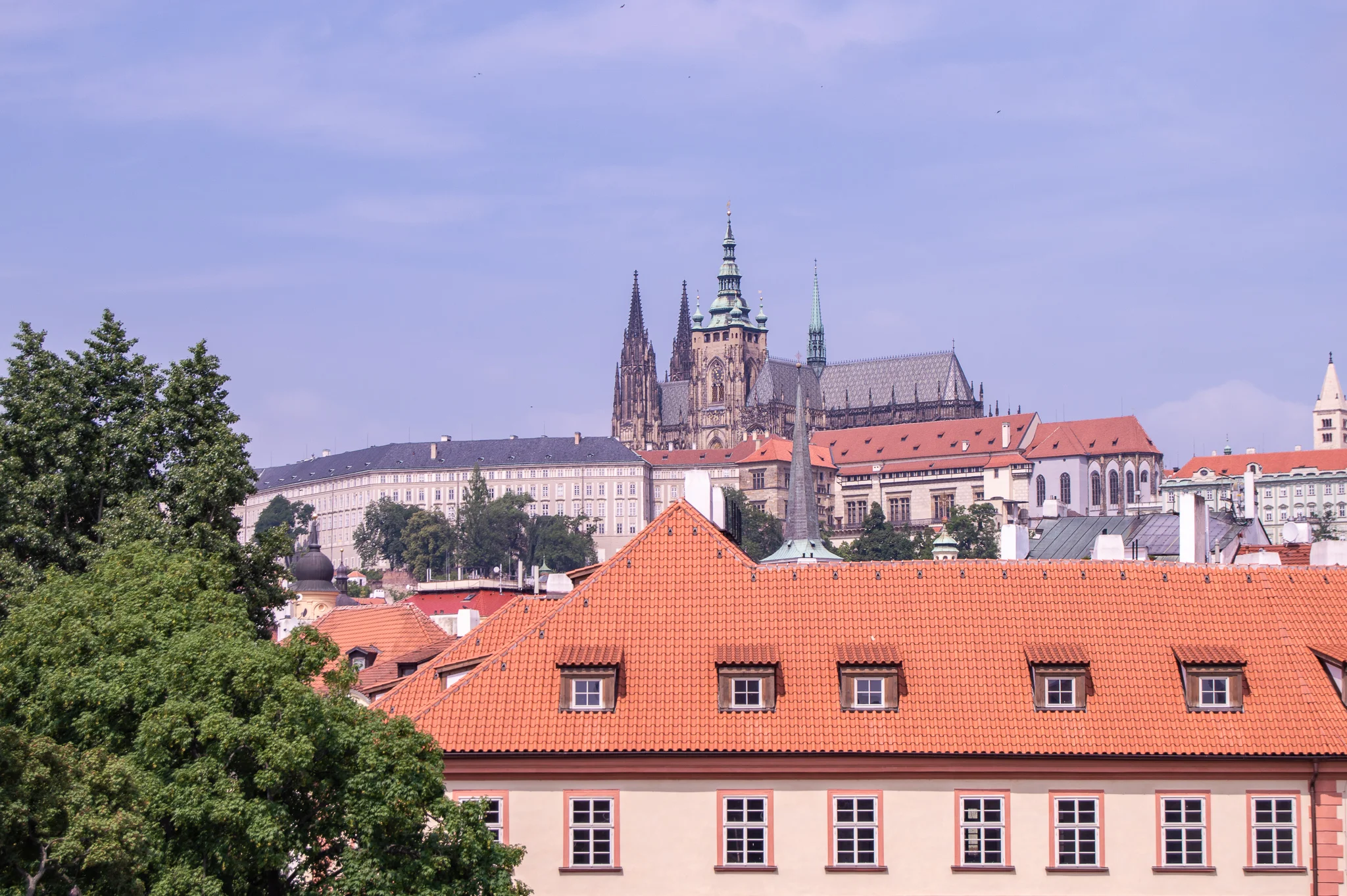 DSC_0197.jpg