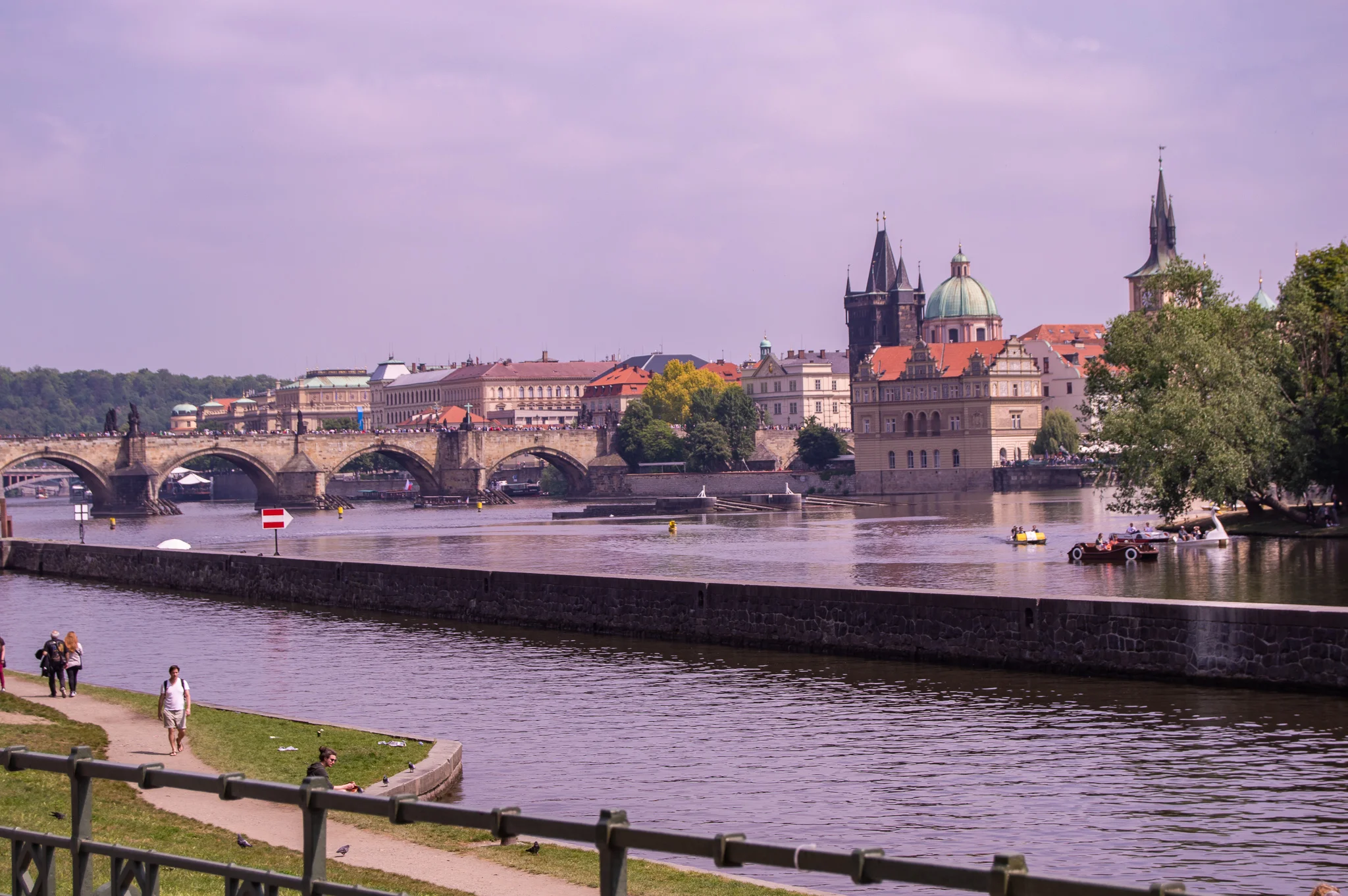 DSC_0226.jpg