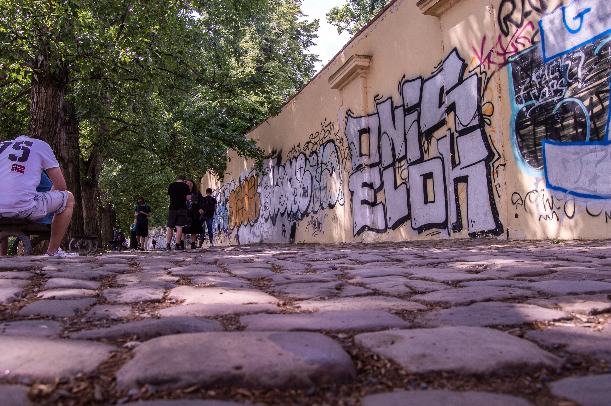 DSC_0214.jpg