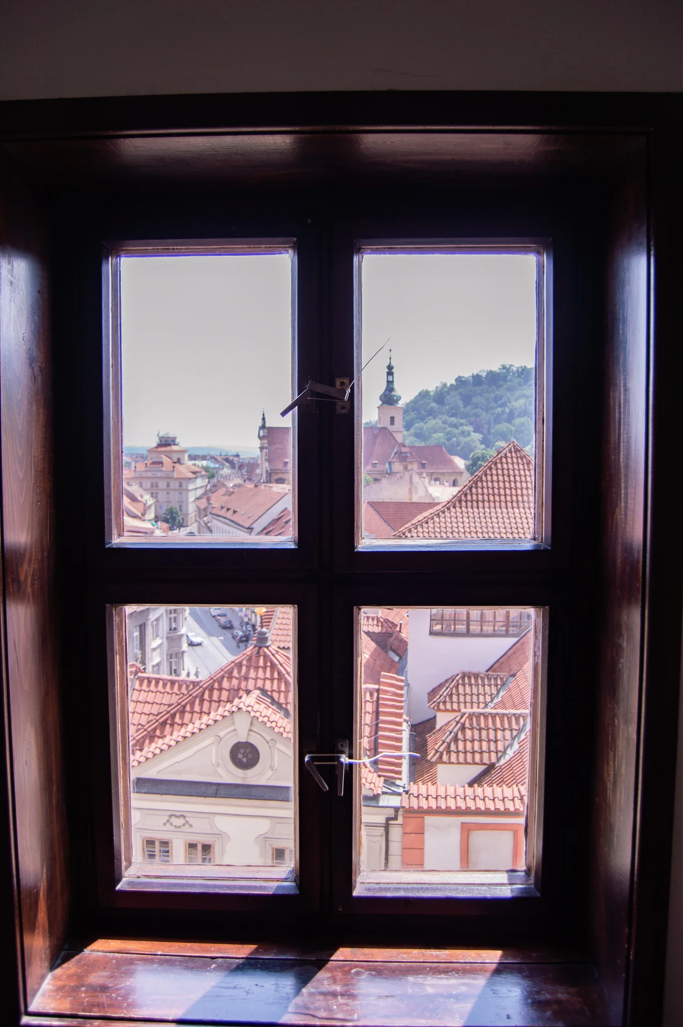 DSC_0254.jpg