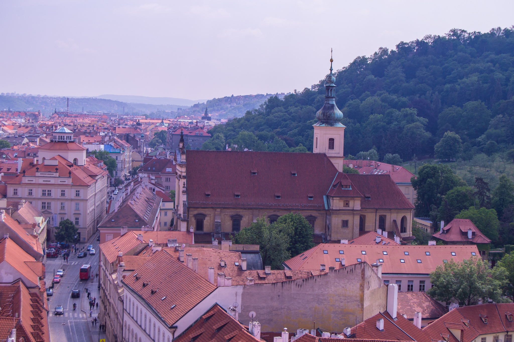 DSC_0273.jpg