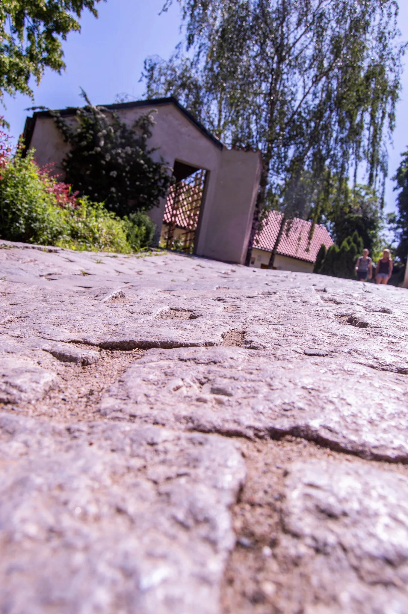 DSC_0062.jpg