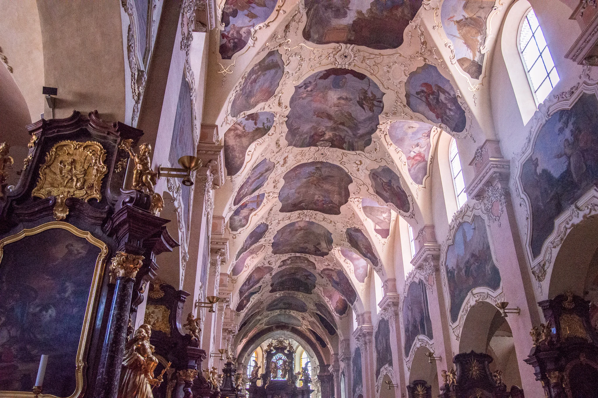 DSC_0067.jpg