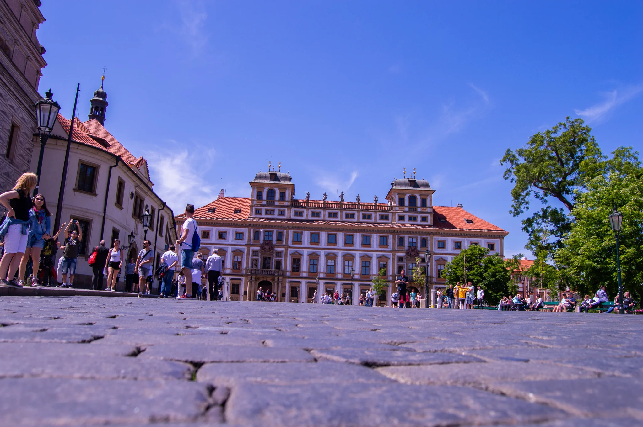 DSC_0119.jpg