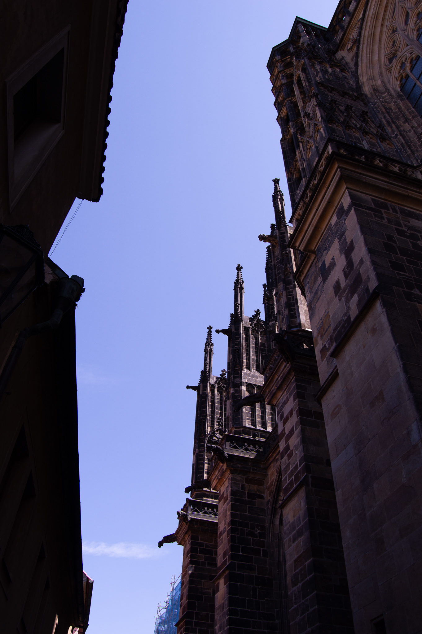 DSC_0149.jpg