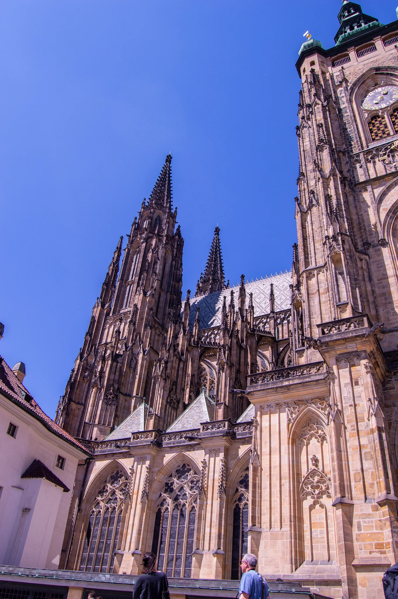 DSC_0169.jpg