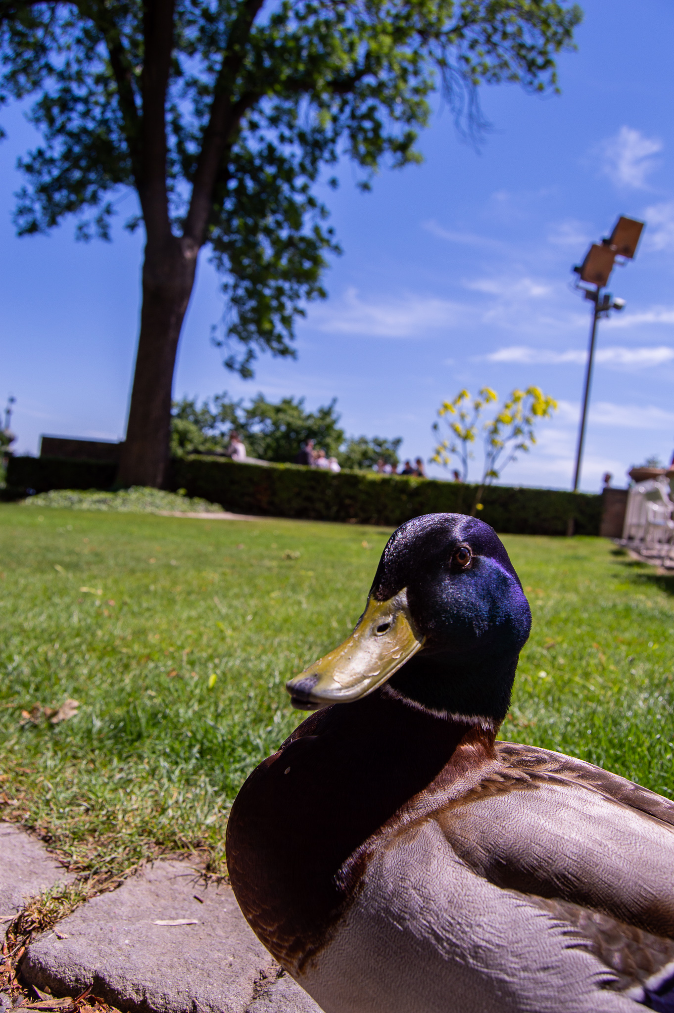 DSC_0180.jpg
