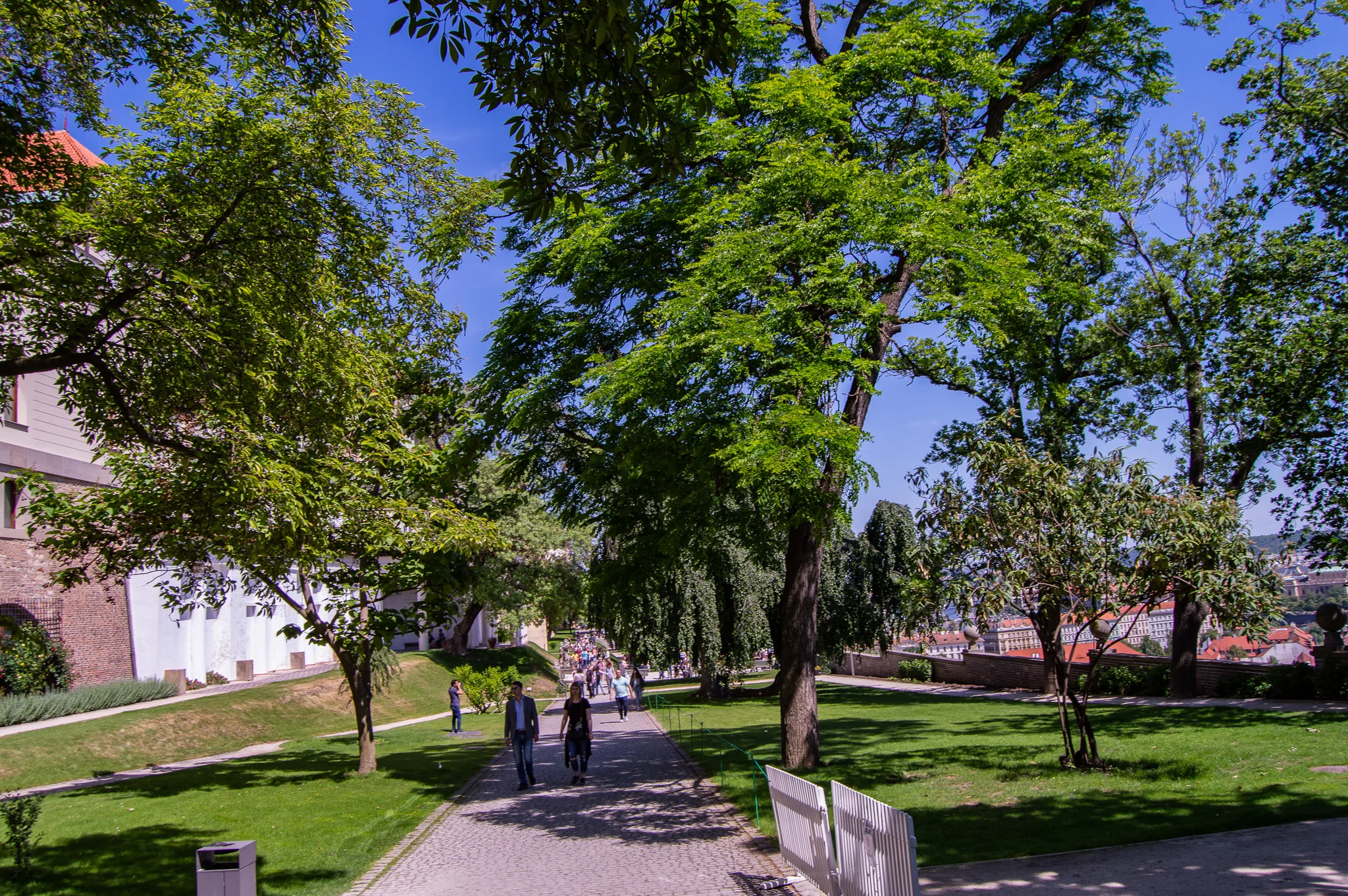 DSC_0182.jpg