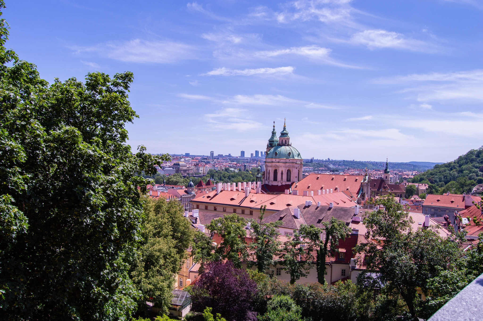 DSC_0173.jpg