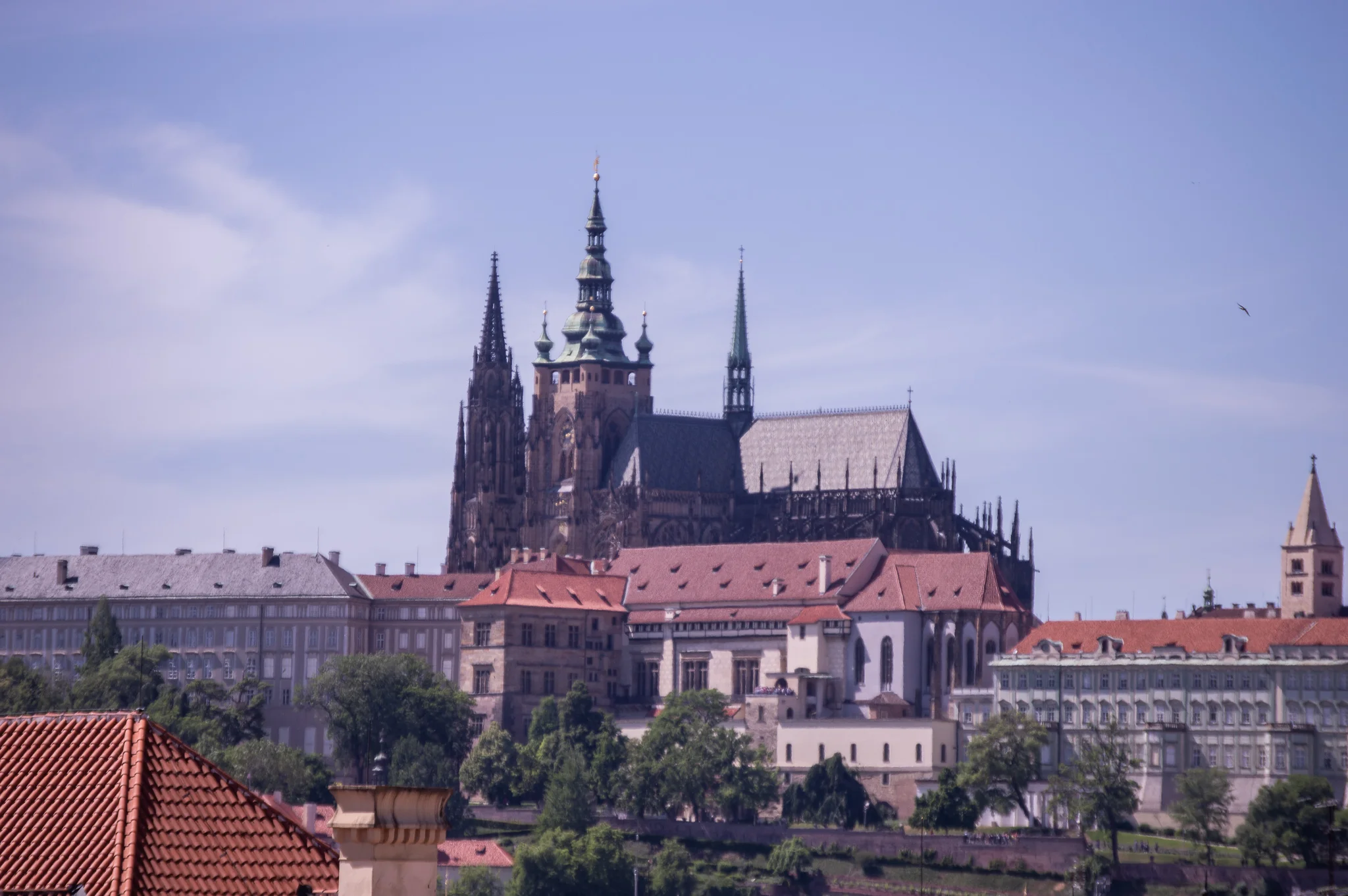 DSC_0207.jpg