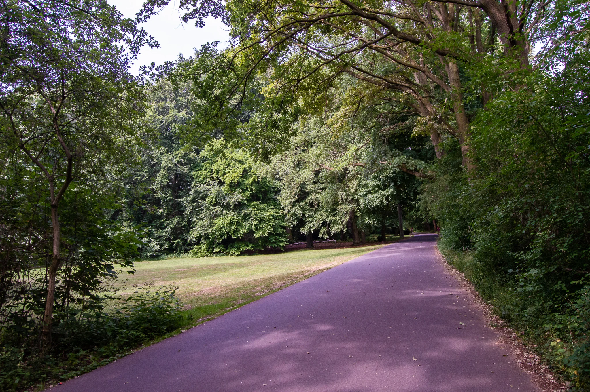 DSC_0242.jpg