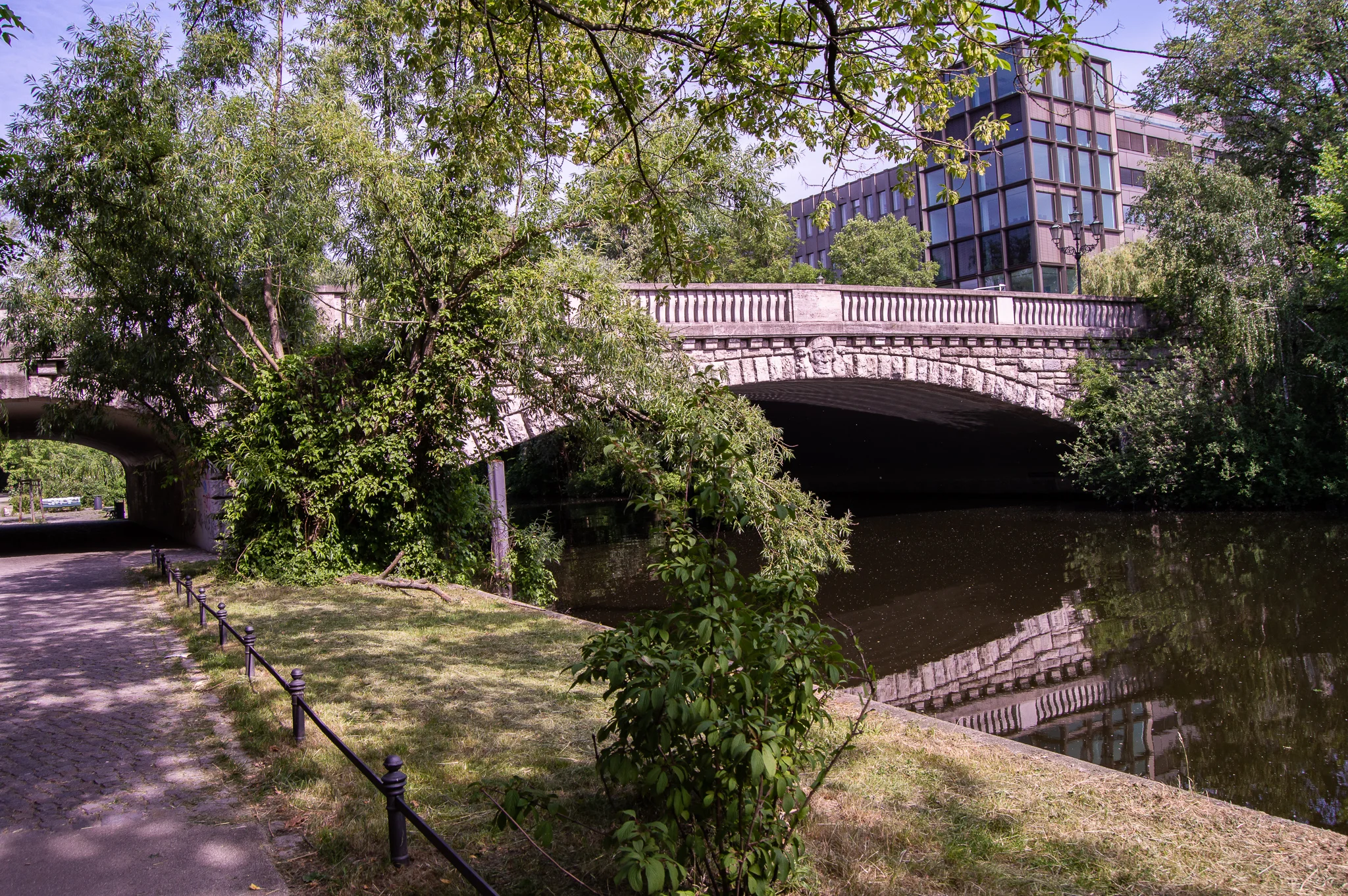 DSC_0245.jpg