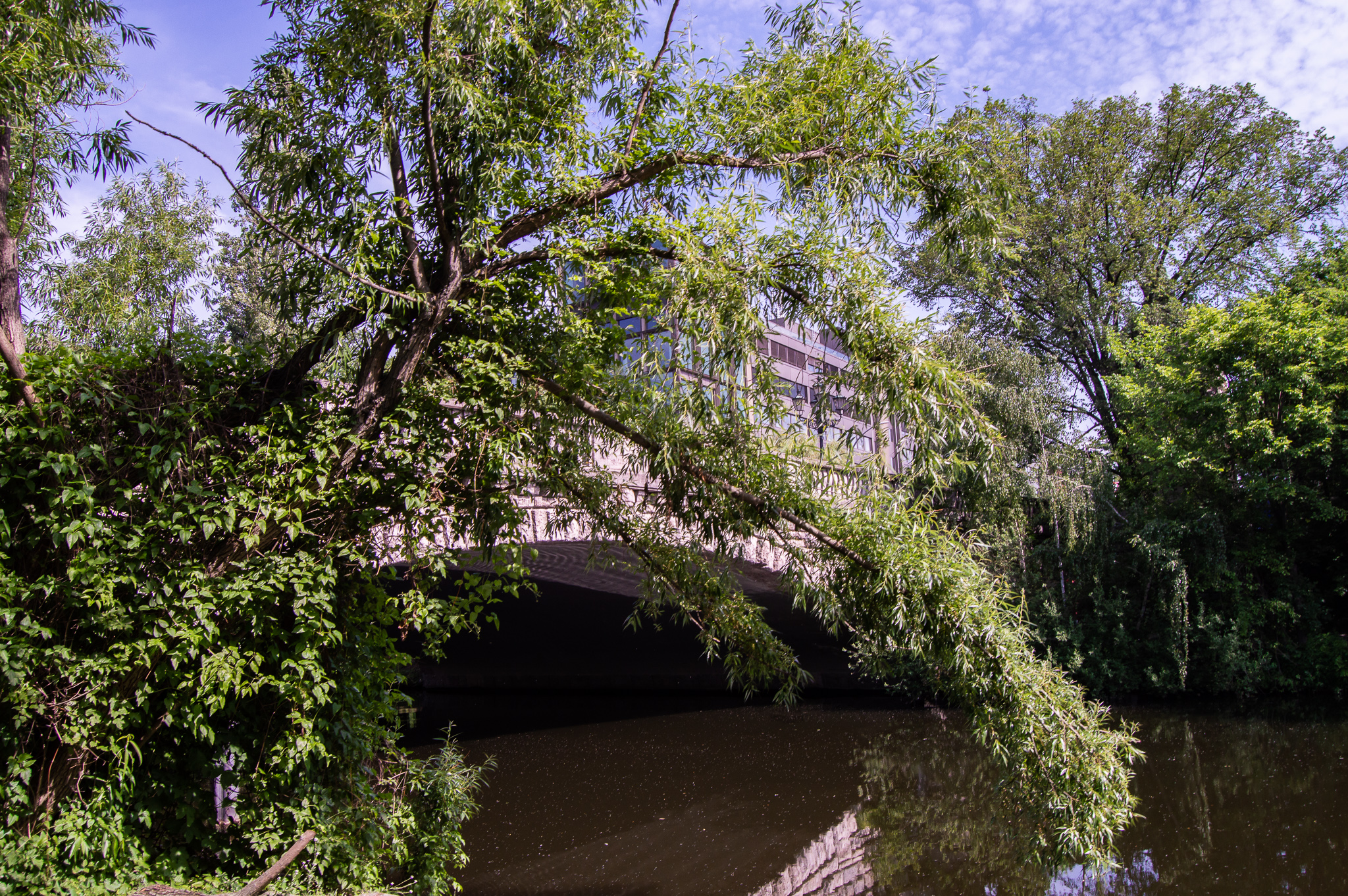 DSC_0246.jpg