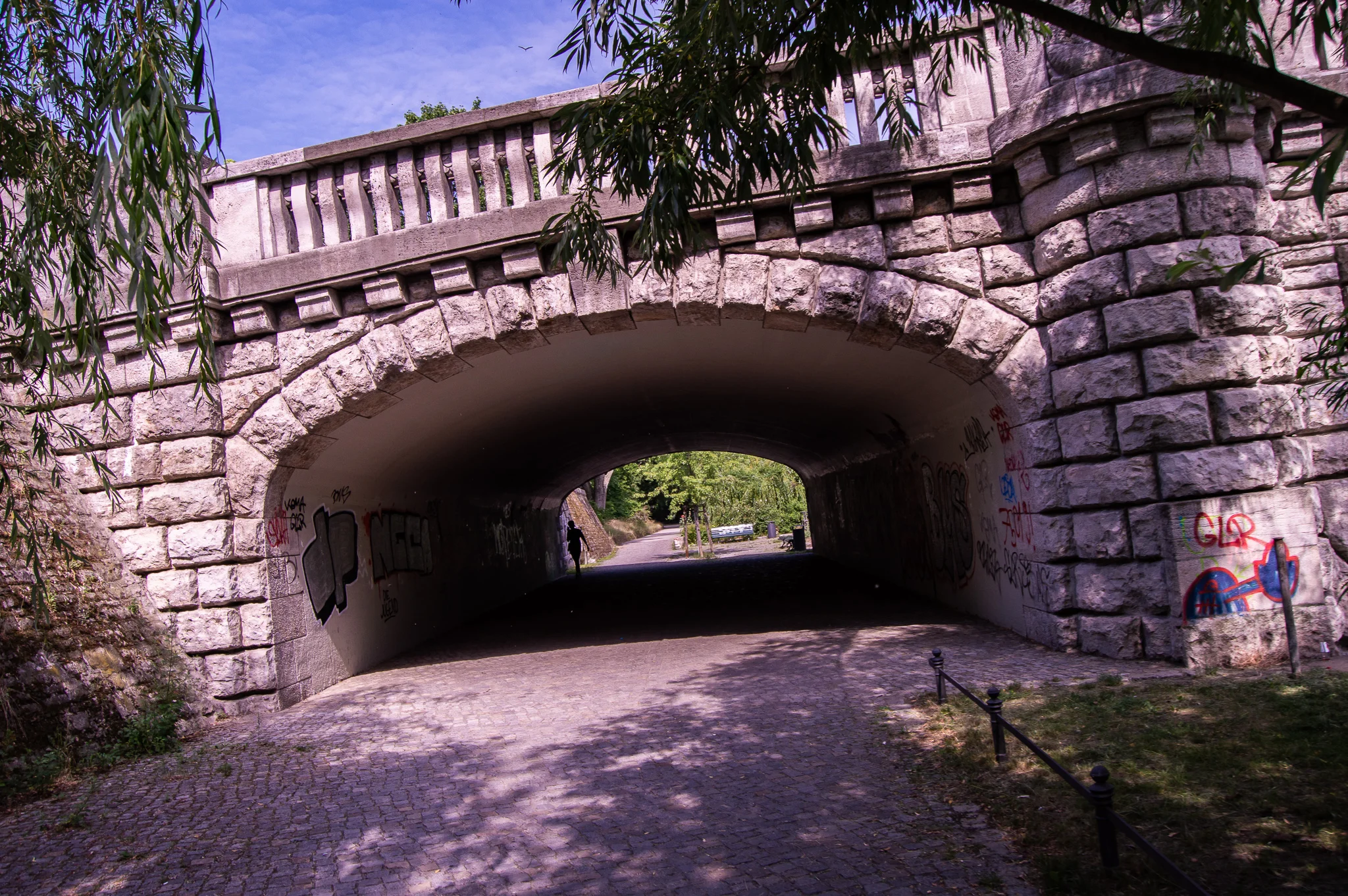 DSC_0247.jpg