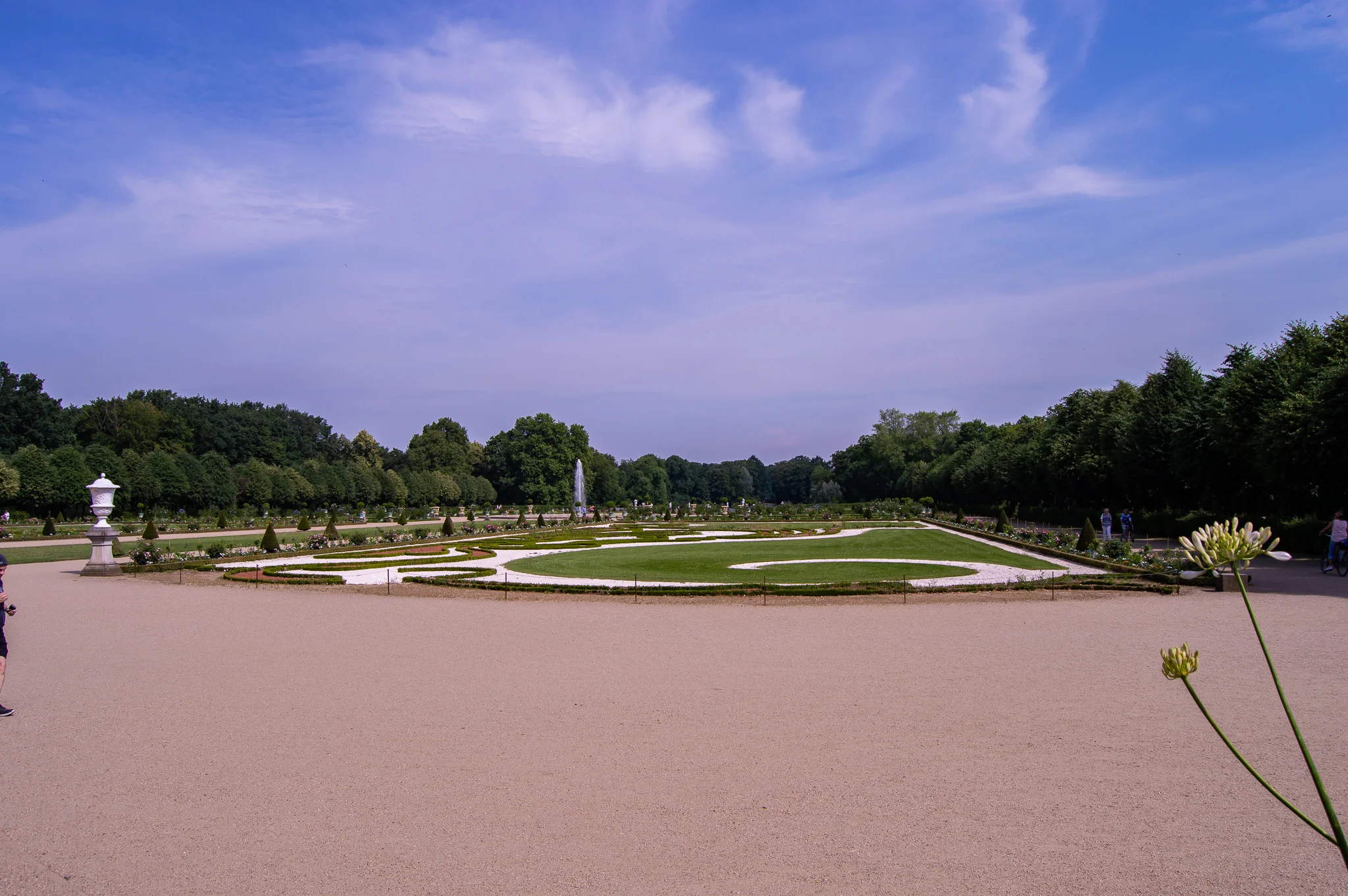 DSC_0253.jpg