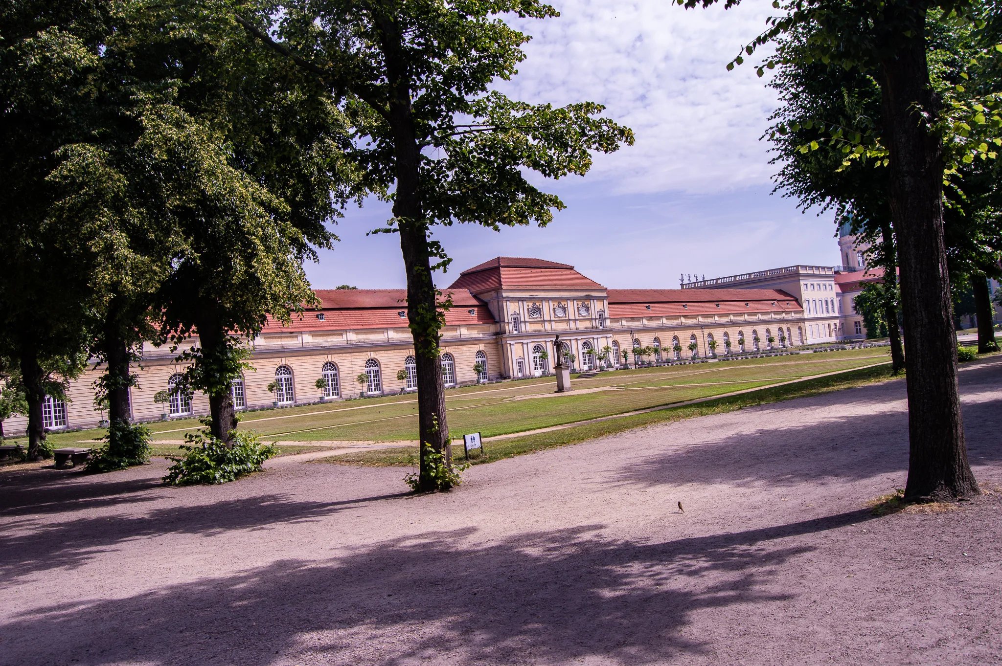 DSC_0256.jpg