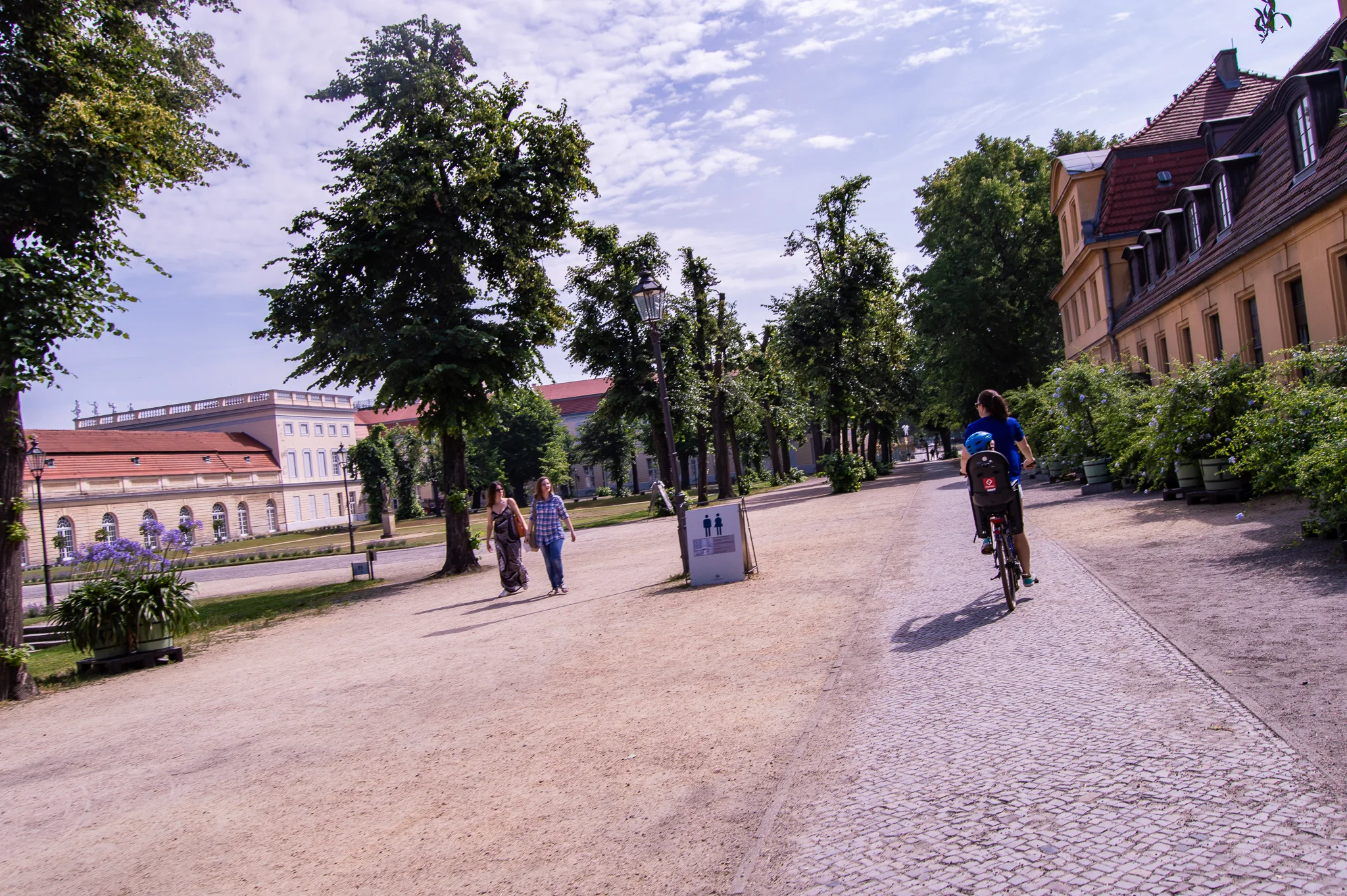 DSC_0260.jpg
