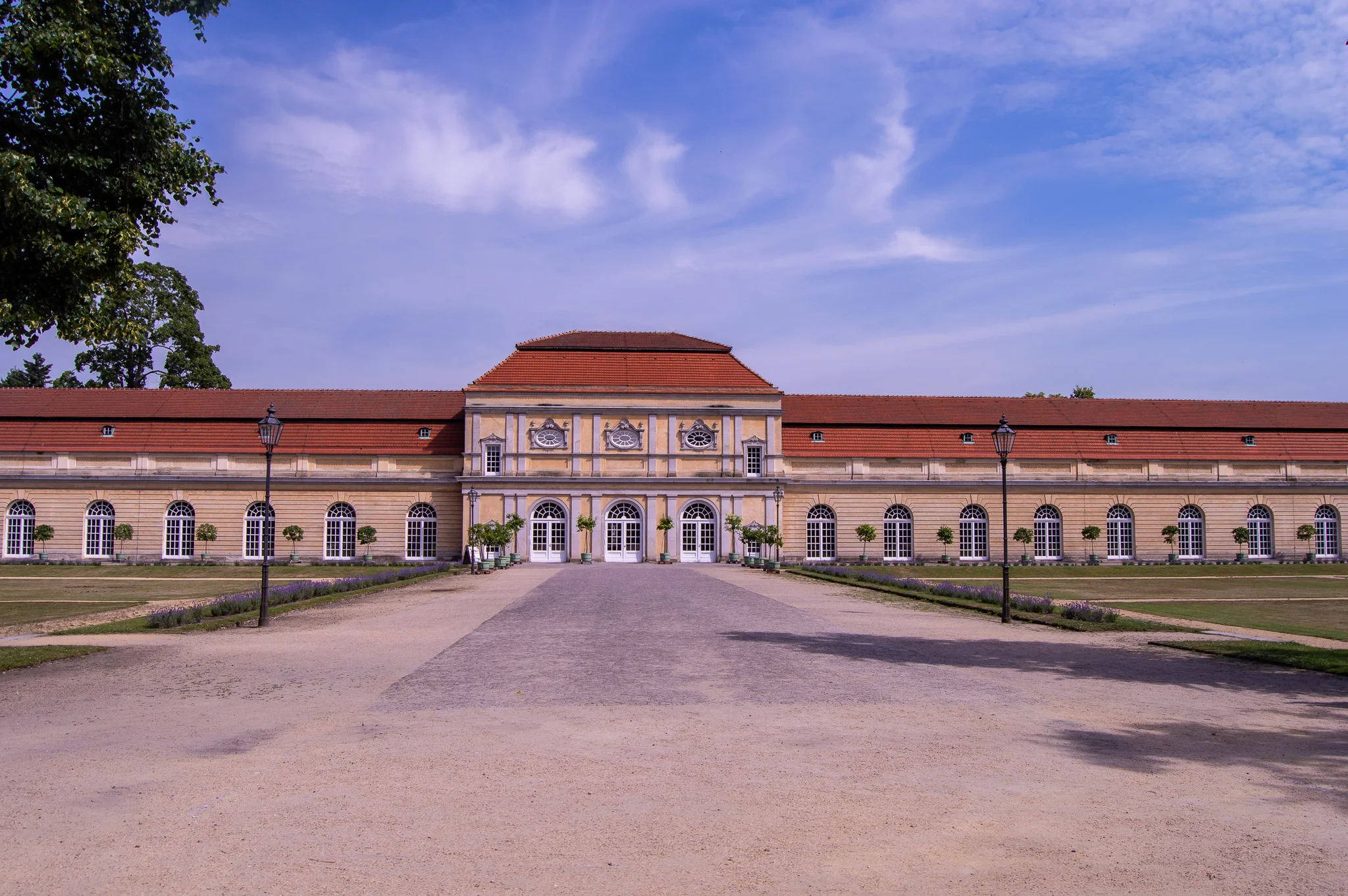 DSC_0262.jpg