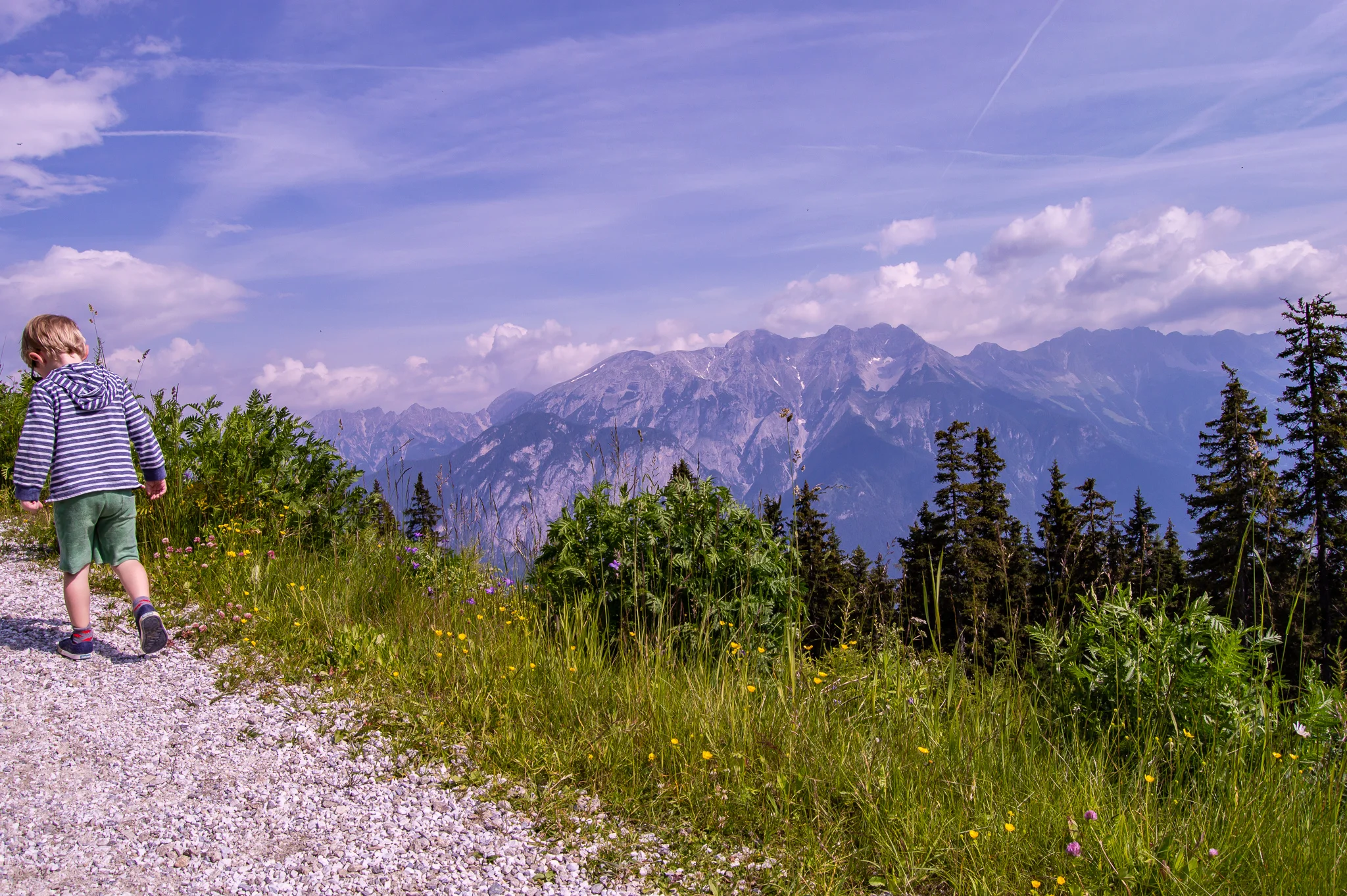DSC_0134.jpg