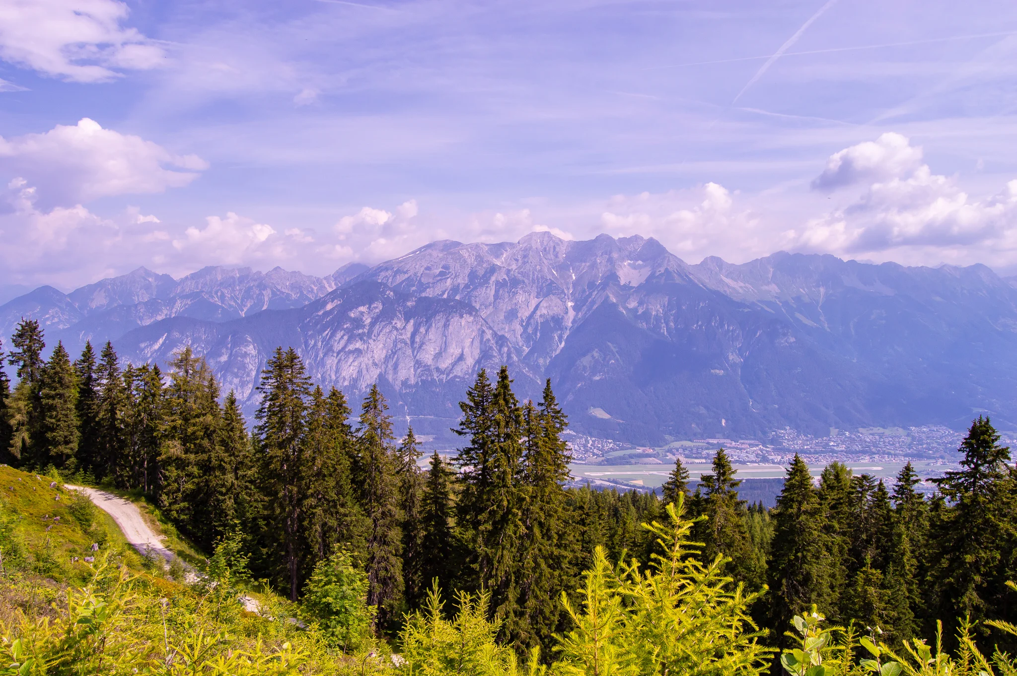 DSC_0135.jpg