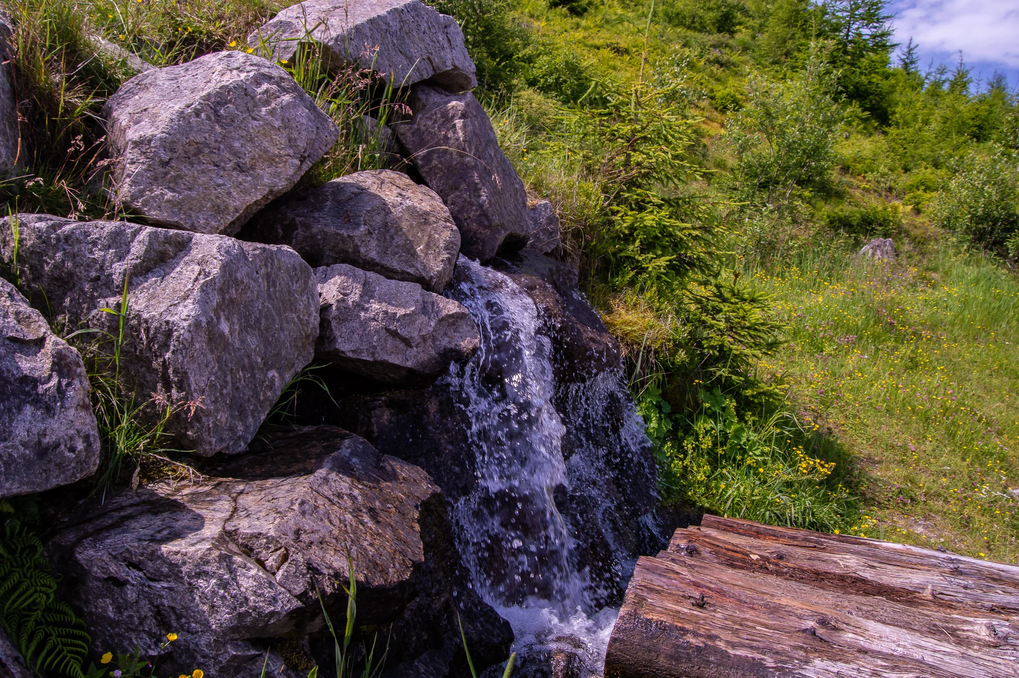 DSC_0138.jpg