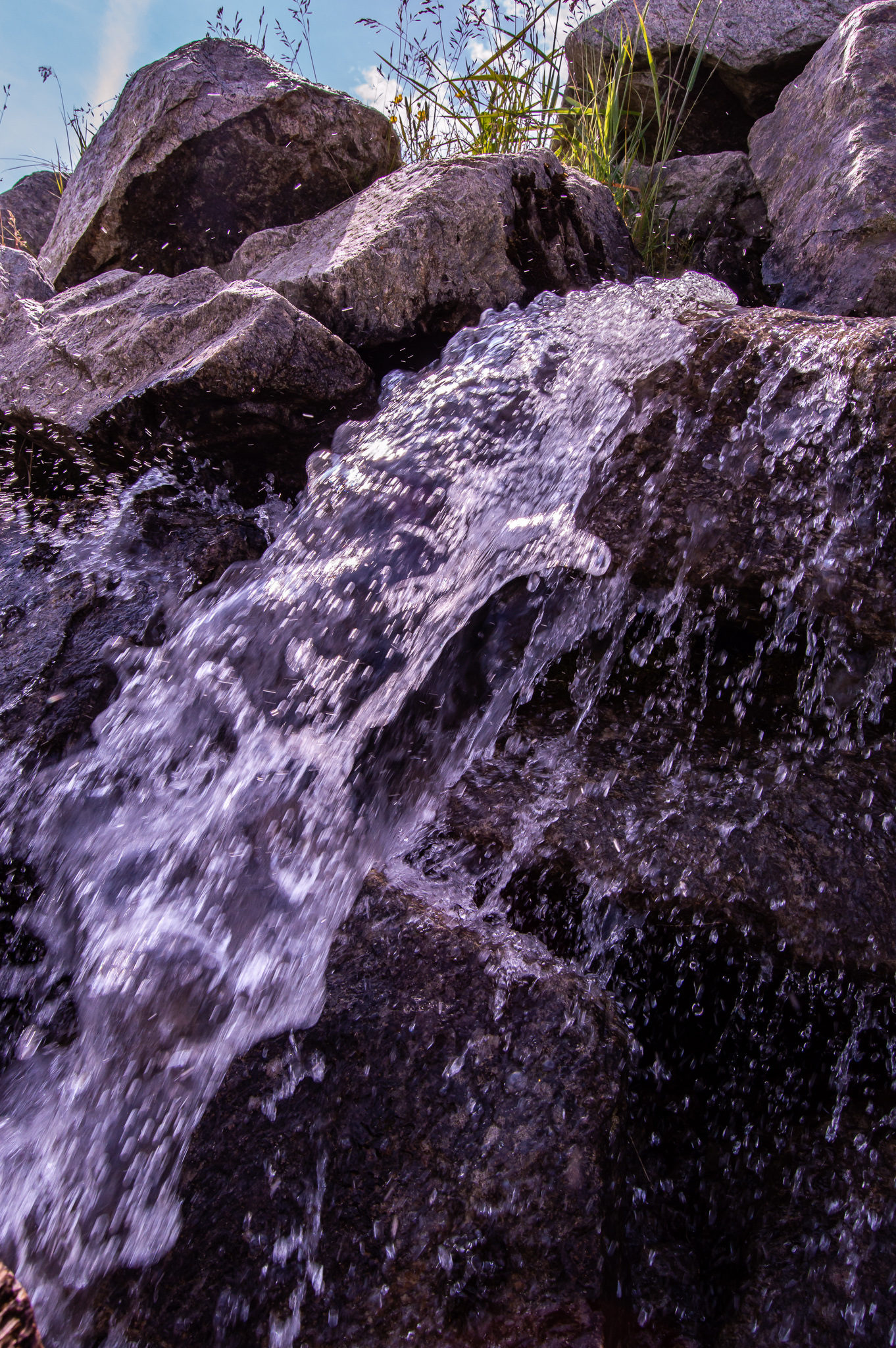 DSC_0140.jpg