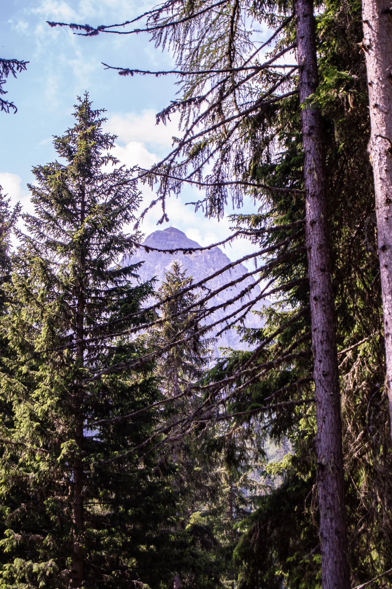 DSC_0148.jpg
