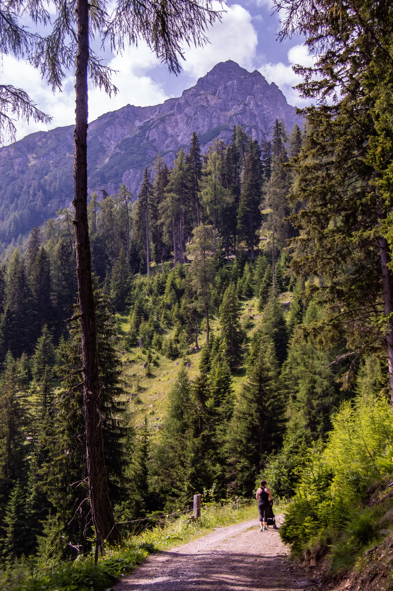 DSC_0149.jpg