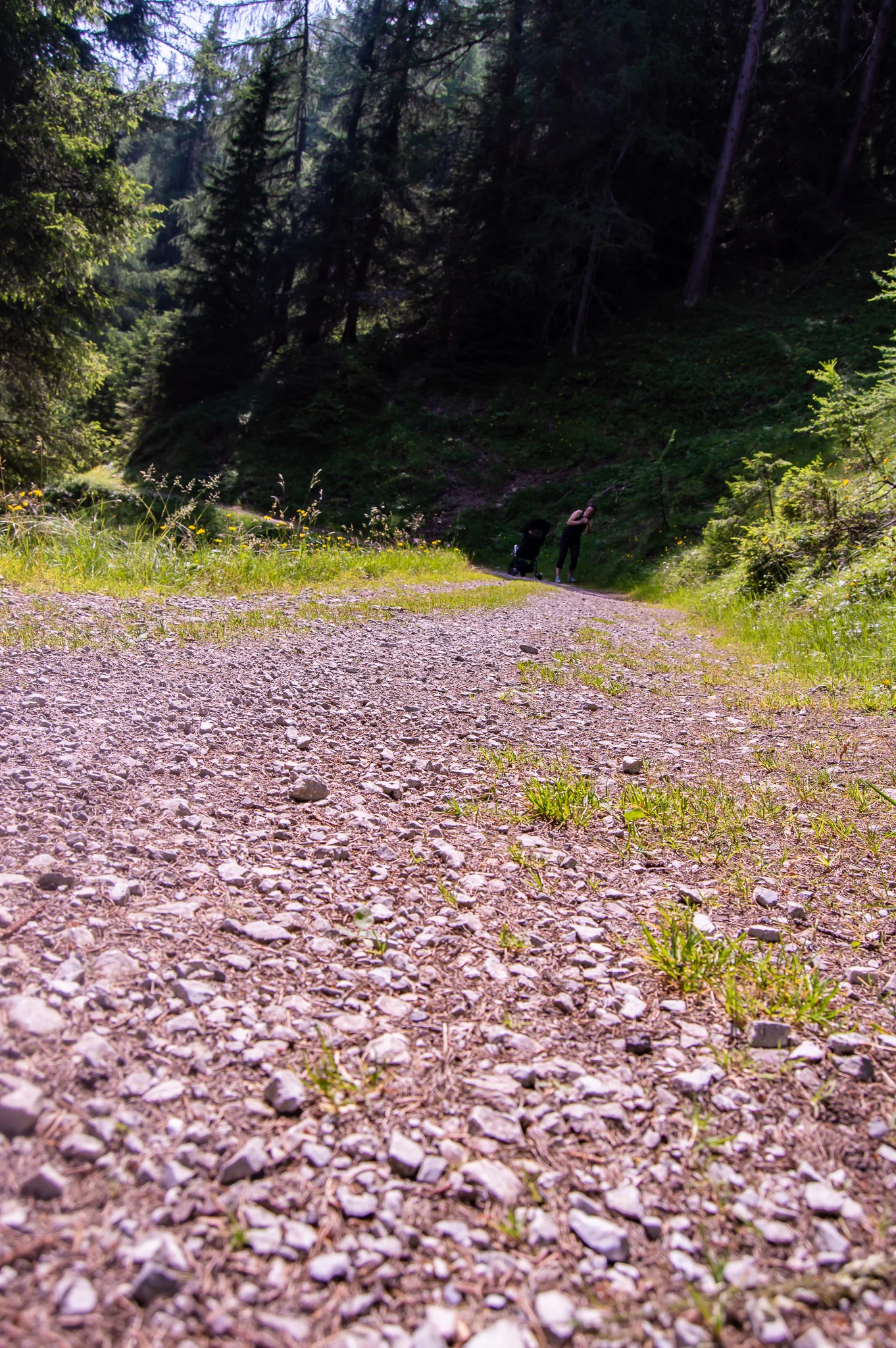 DSC_0152.jpg