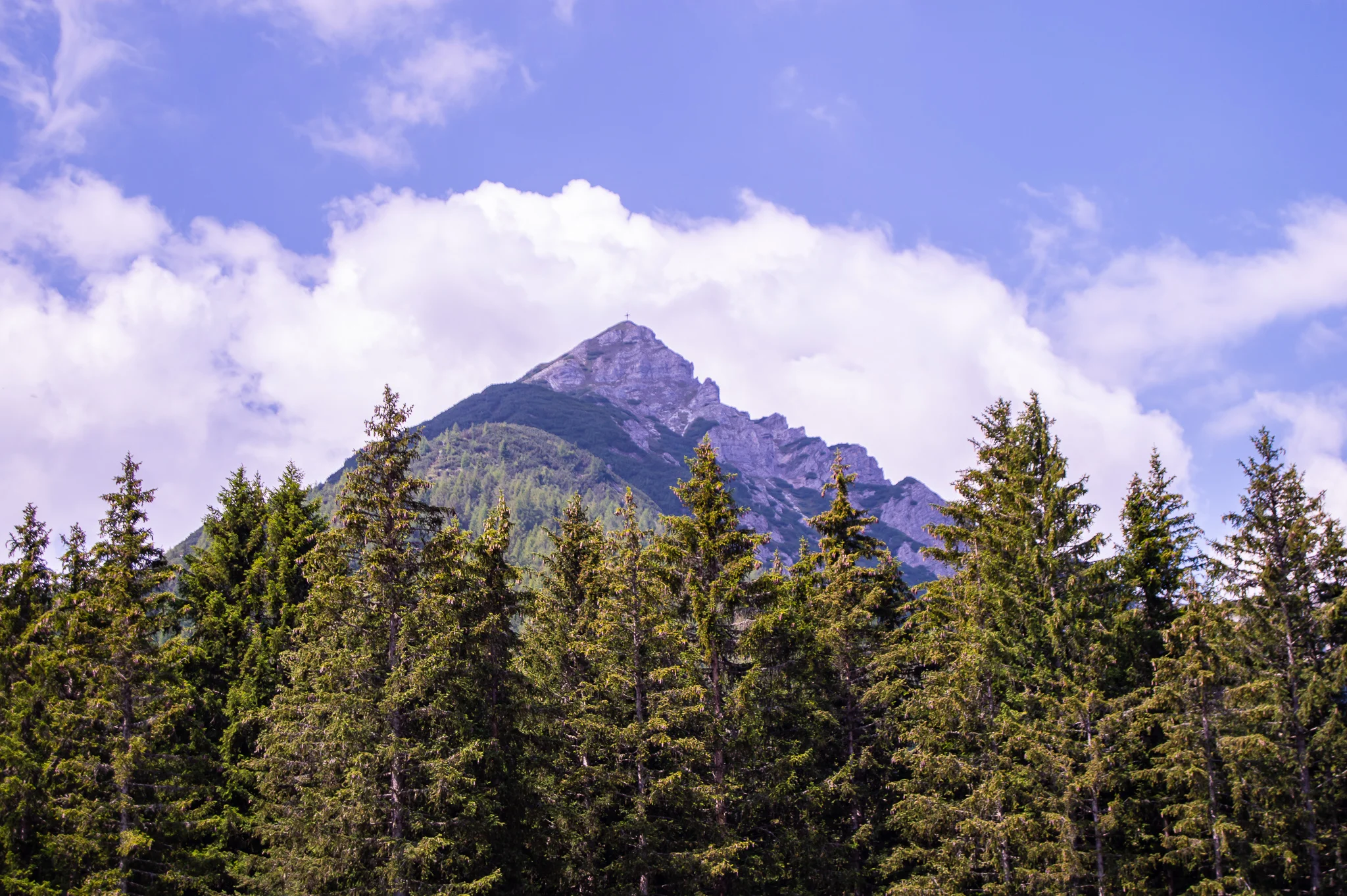 DSC_0161.jpg
