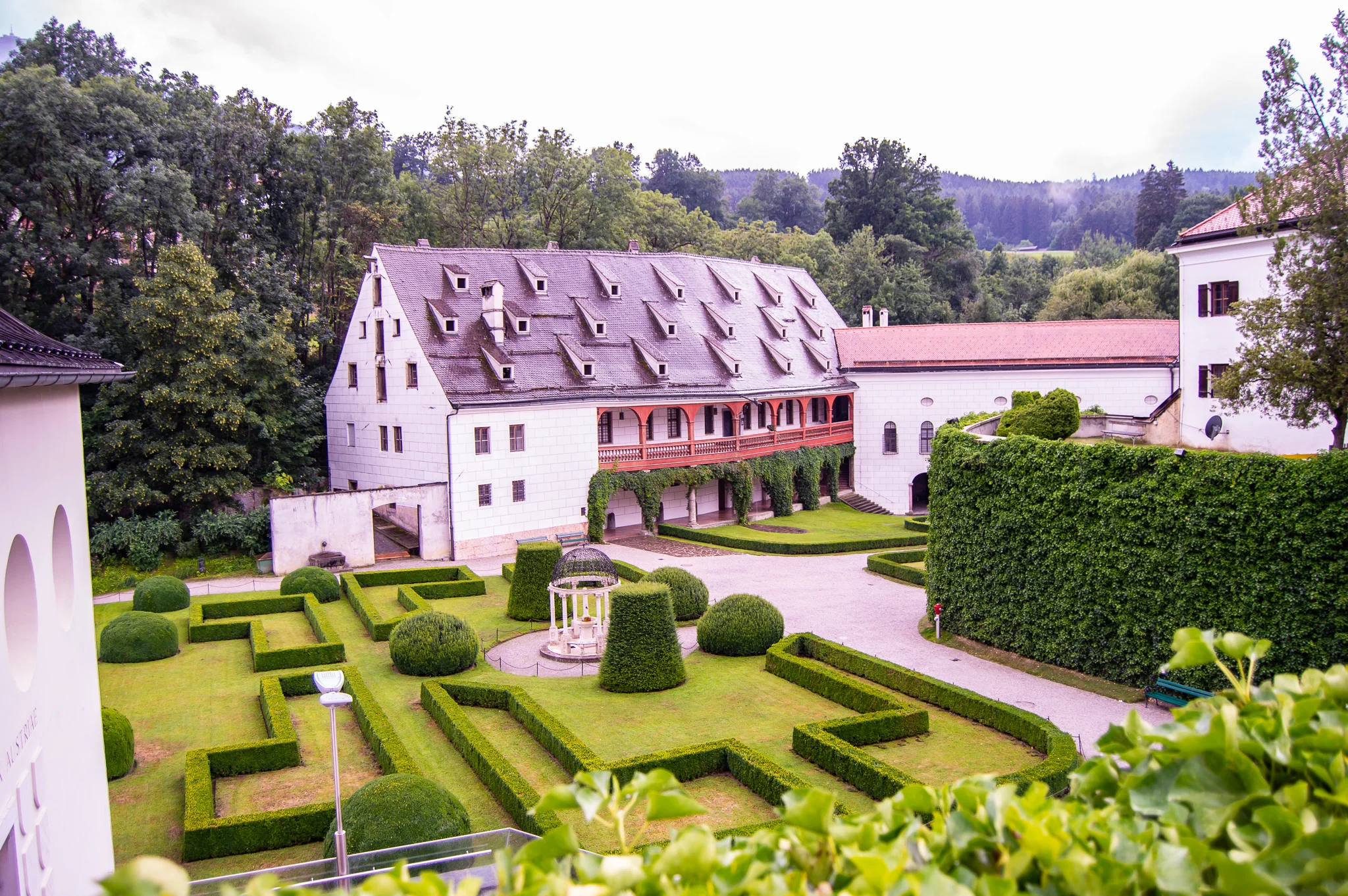 DSC_0223.jpg
