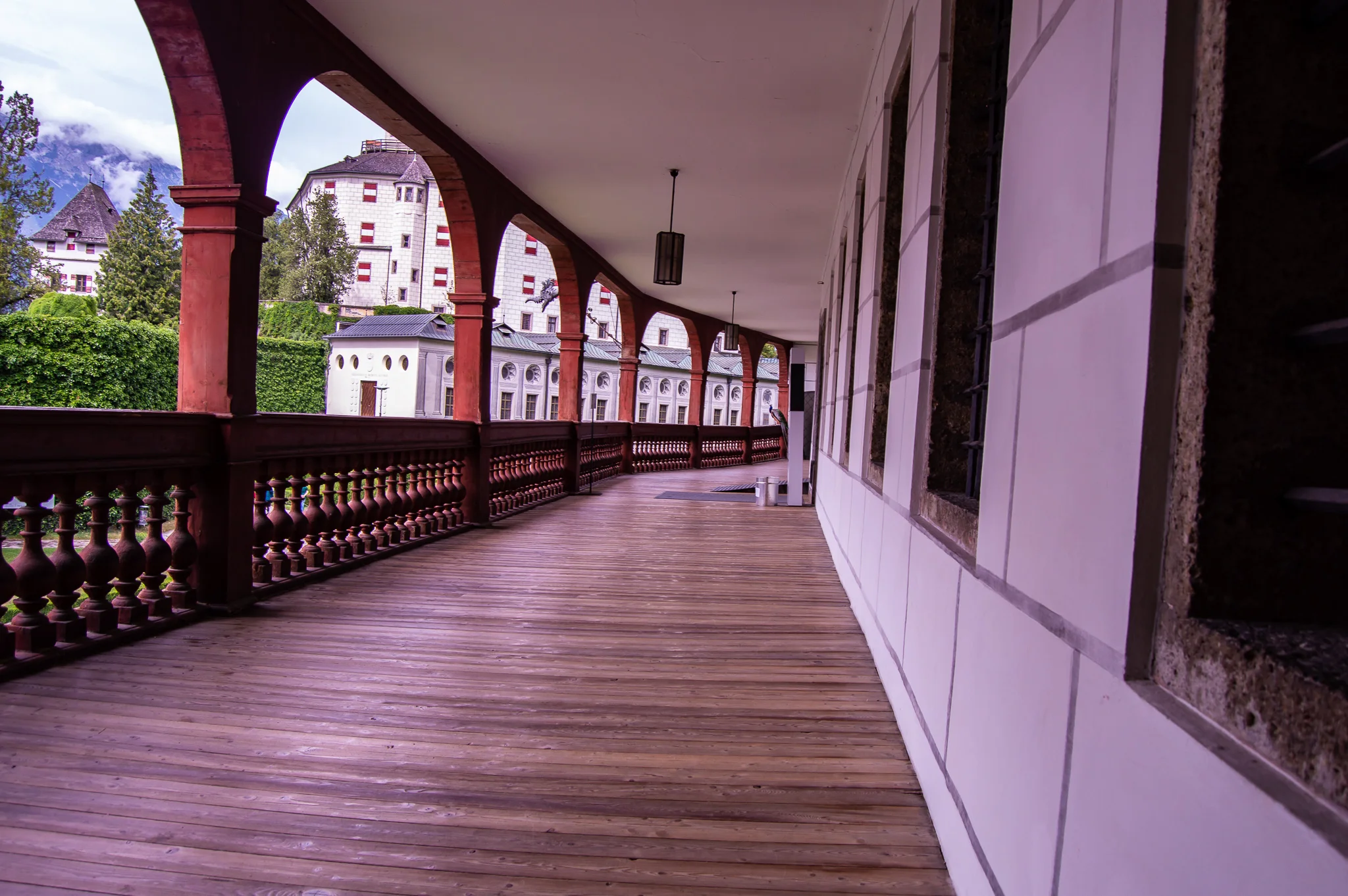 DSC_0253.jpg
