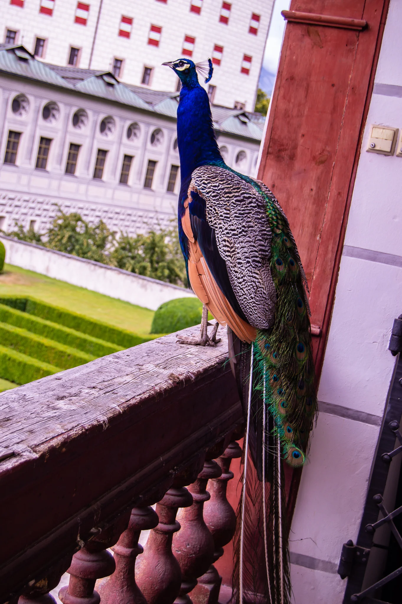 DSC_0255.jpg