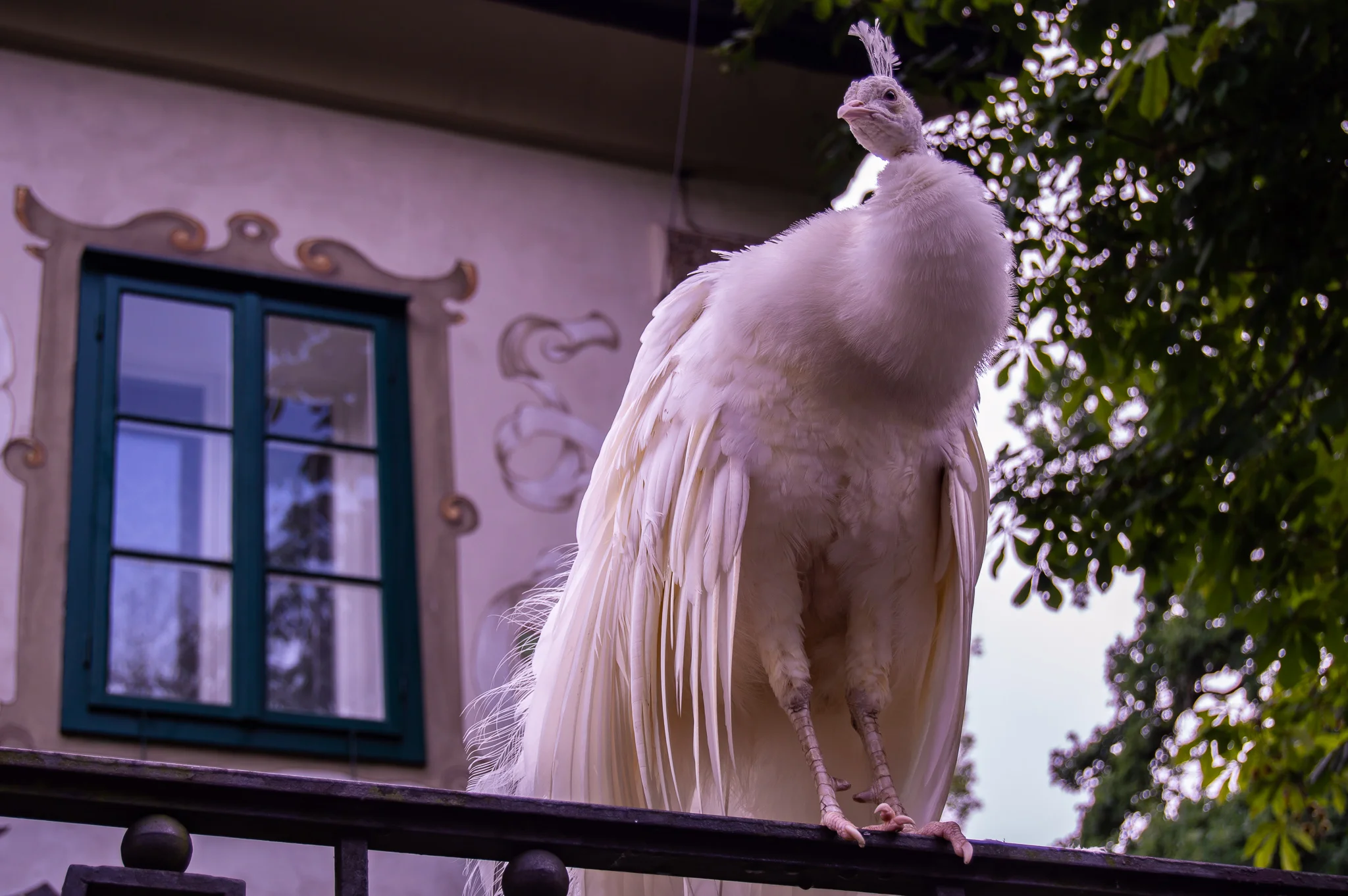 DSC_0261.jpg