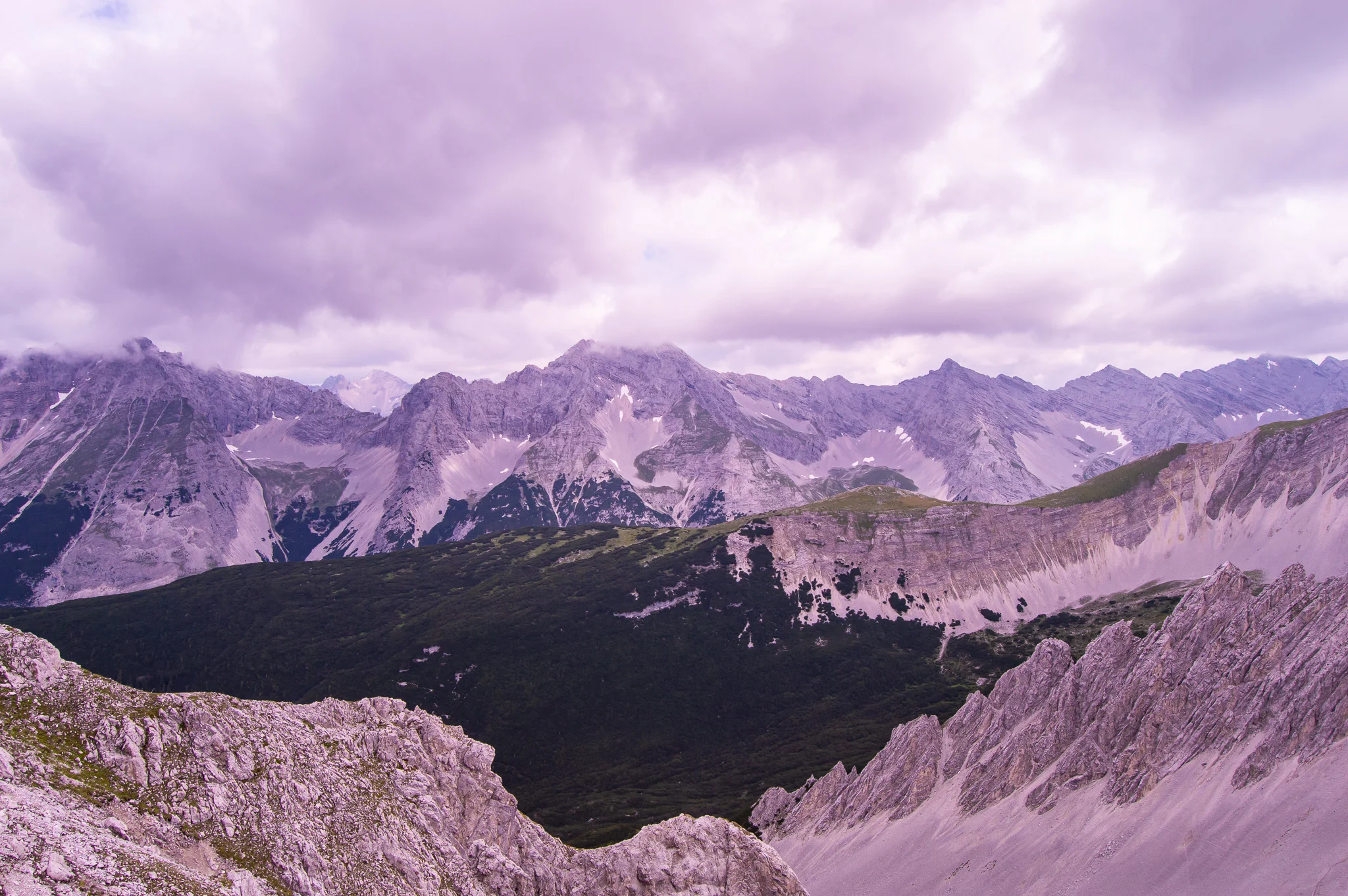 DSC_0323.jpg