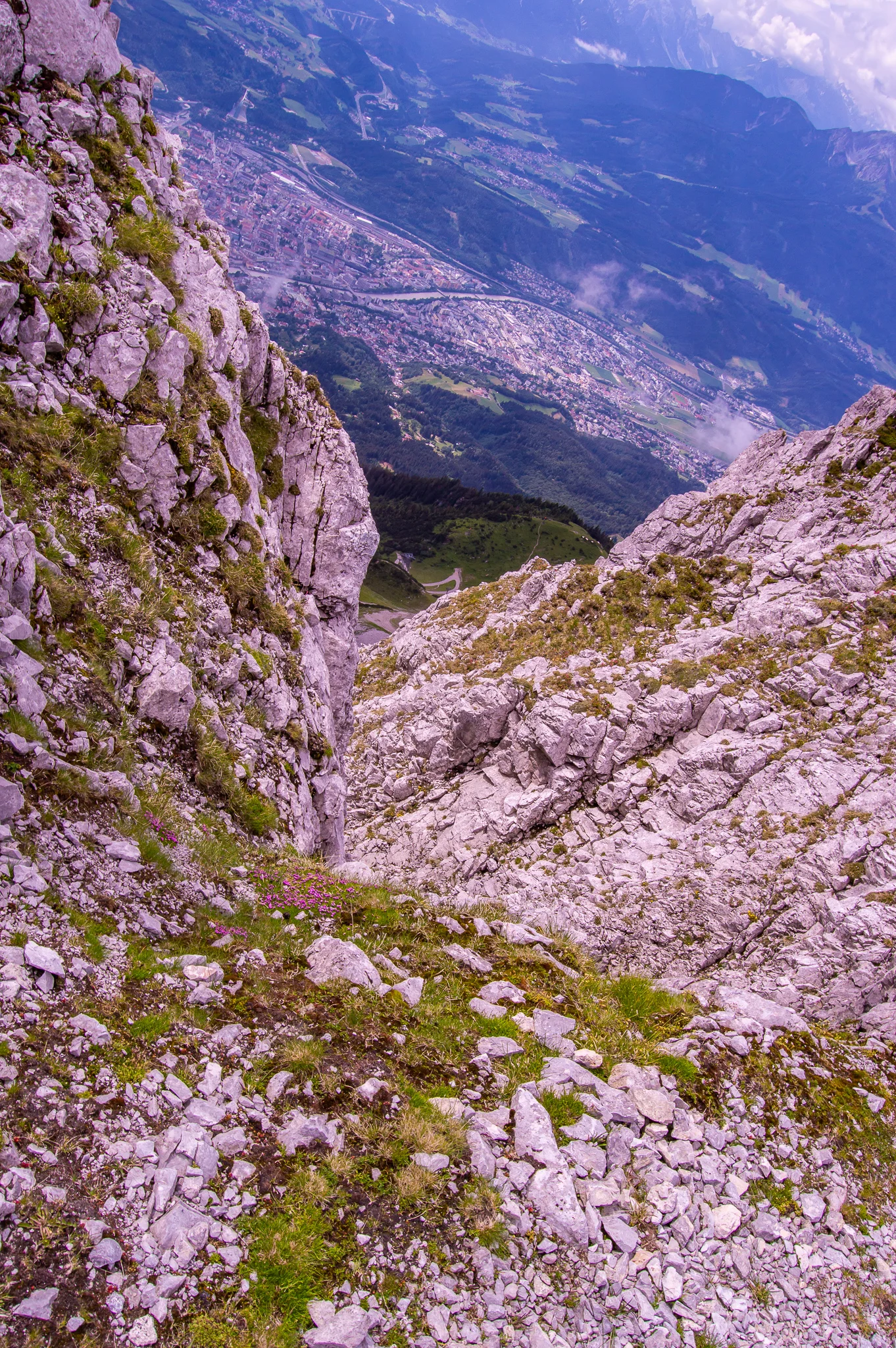 DSC_0351.jpg