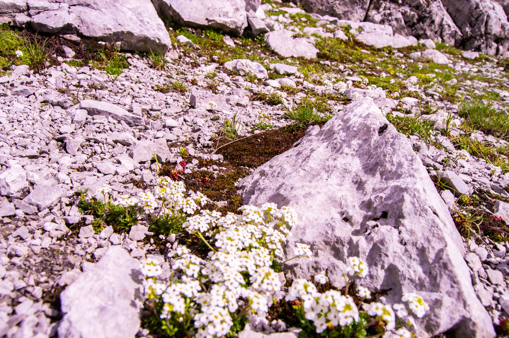 DSC_0357.jpg