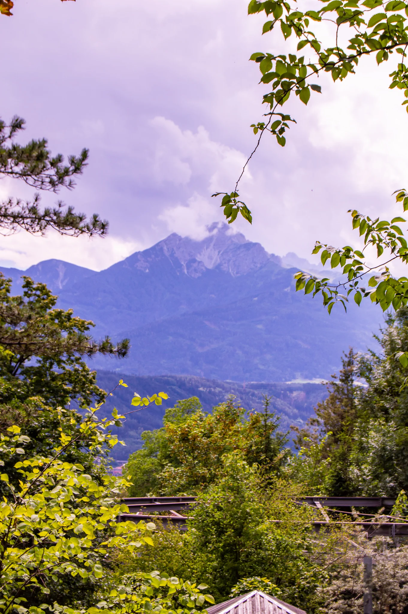 DSC_0377.jpg