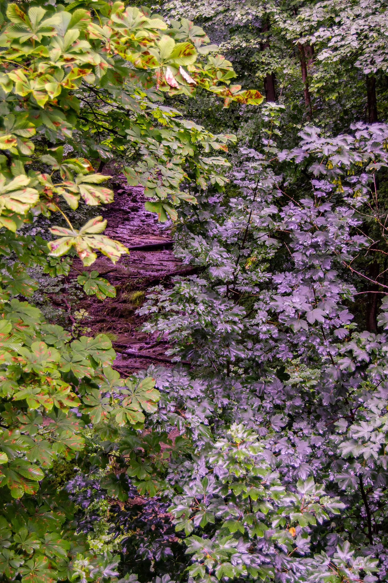 DSC_0399.jpg