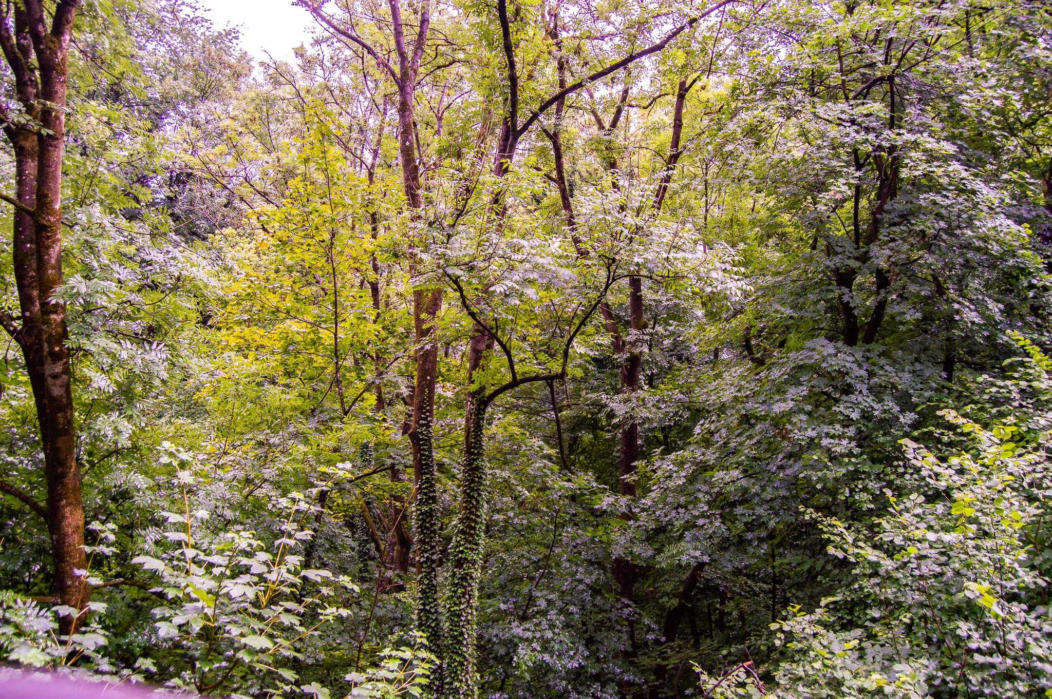 DSC_0400.jpg