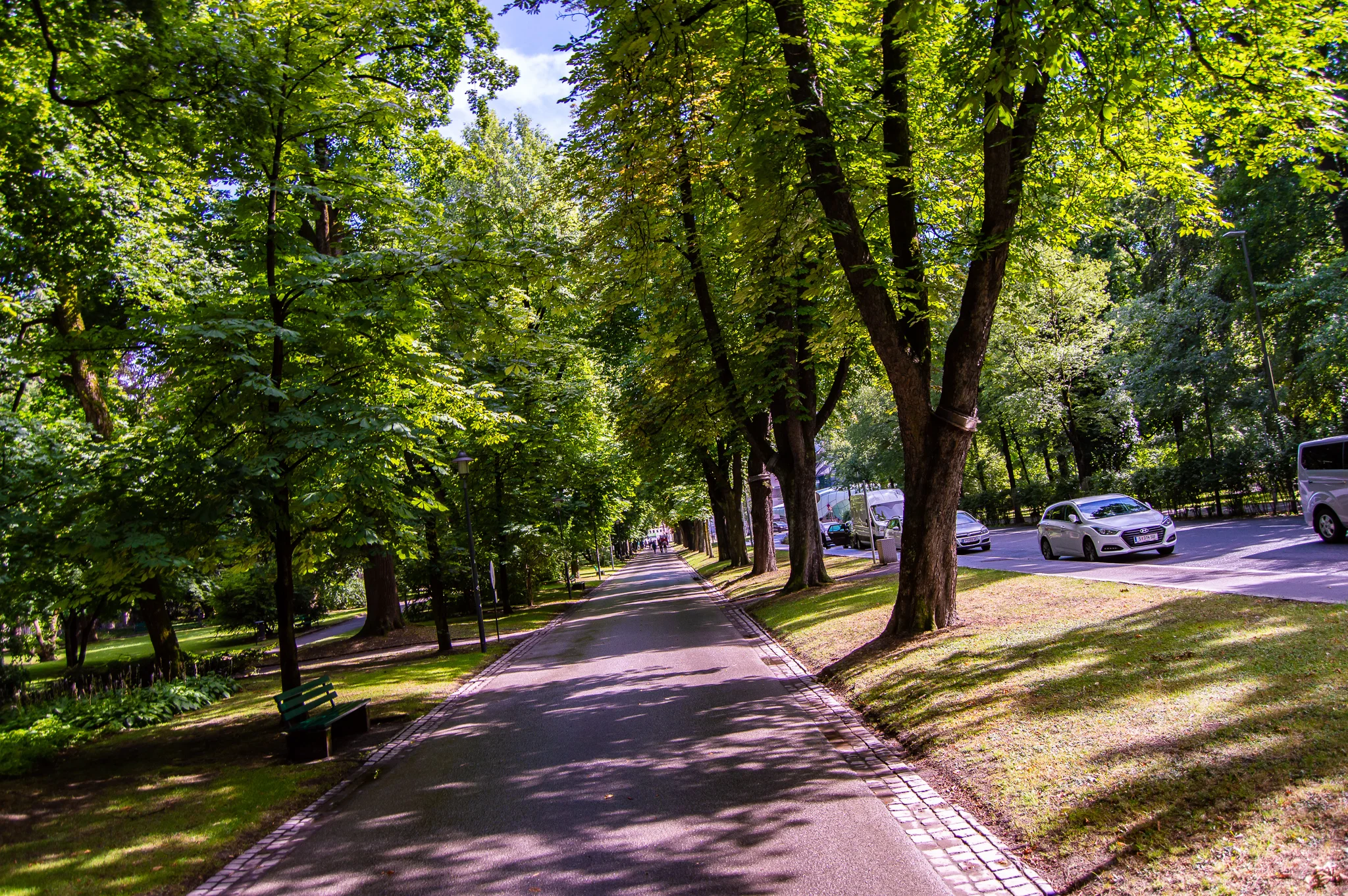 DSC_0410.jpg